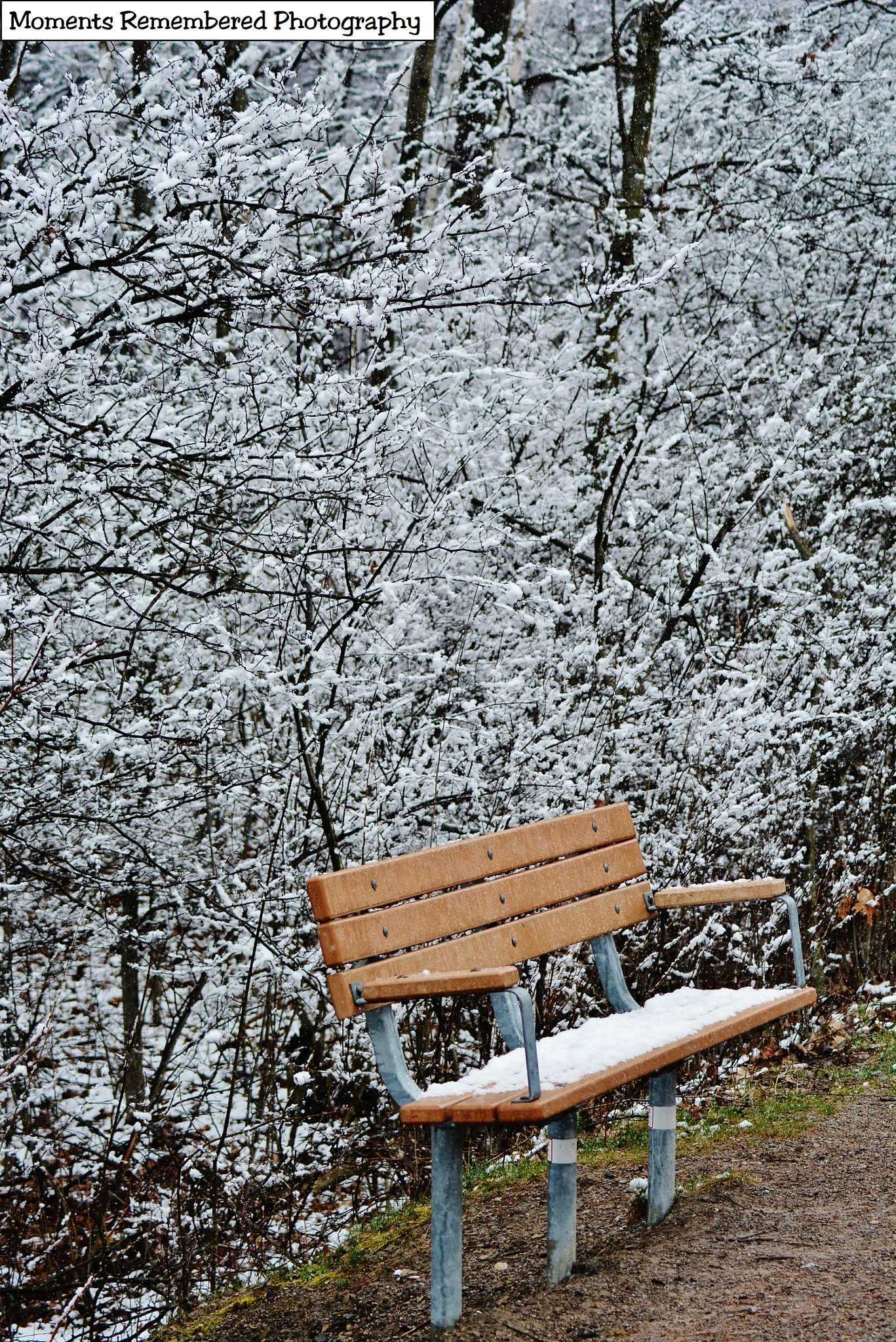 Nikon AF Nikkor 70-300mm F4-5.6G sample photo. Winter in spring photography