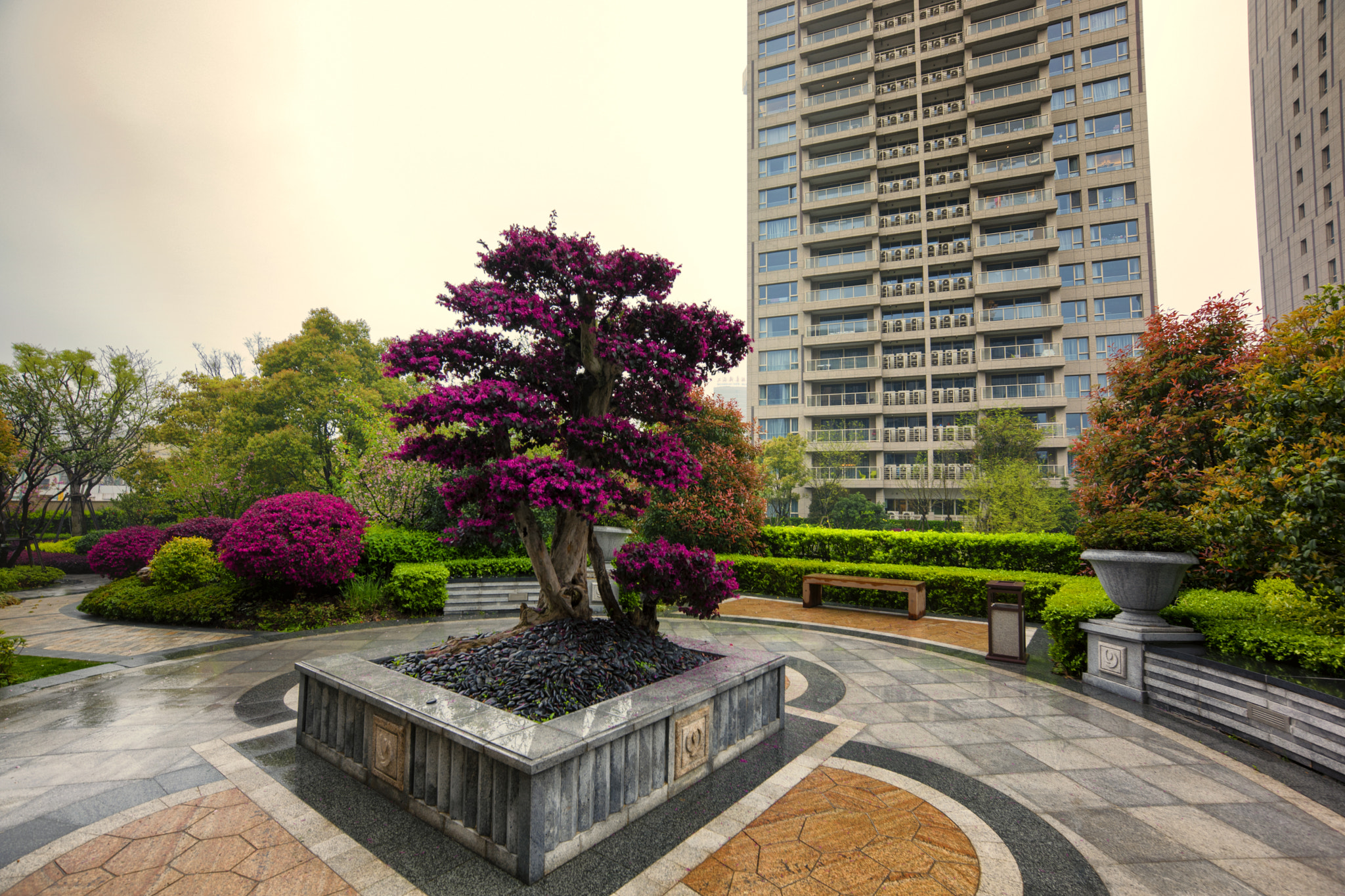 Leica Tri-Elmar-M 16-18-21mm F4 ASPH sample photo. After spring rain photography
