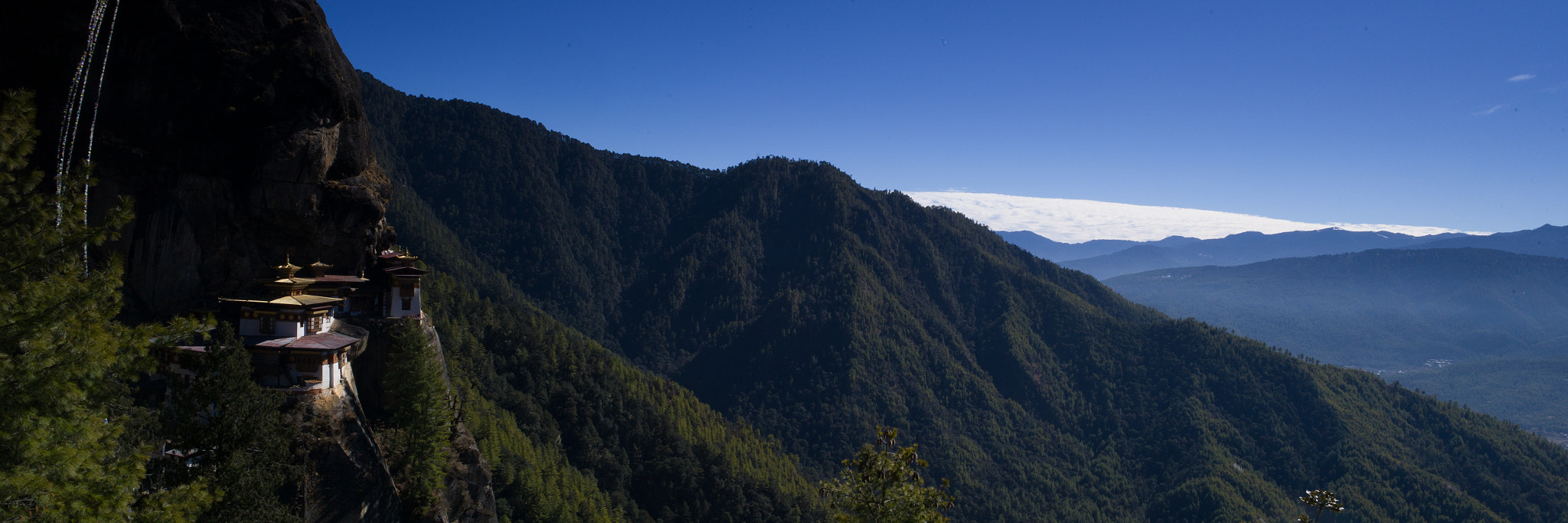 Leica M9 + Leica Super-Elmar-M 21mm F3.4 ASPH sample photo. Ascending tiger's nest photography