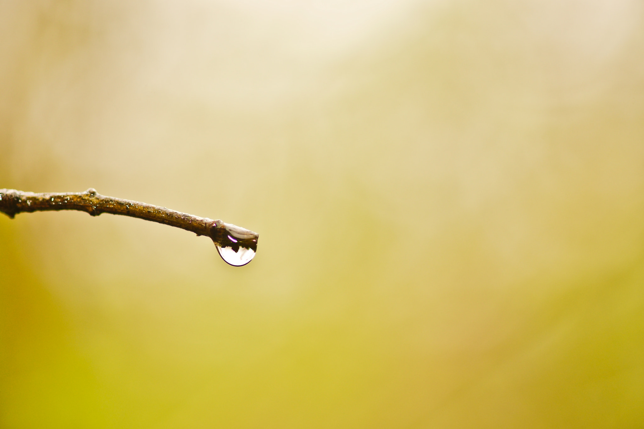 Sony a99 II + Tamron SP AF 90mm F2.8 Di Macro sample photo. Minimalismo photography