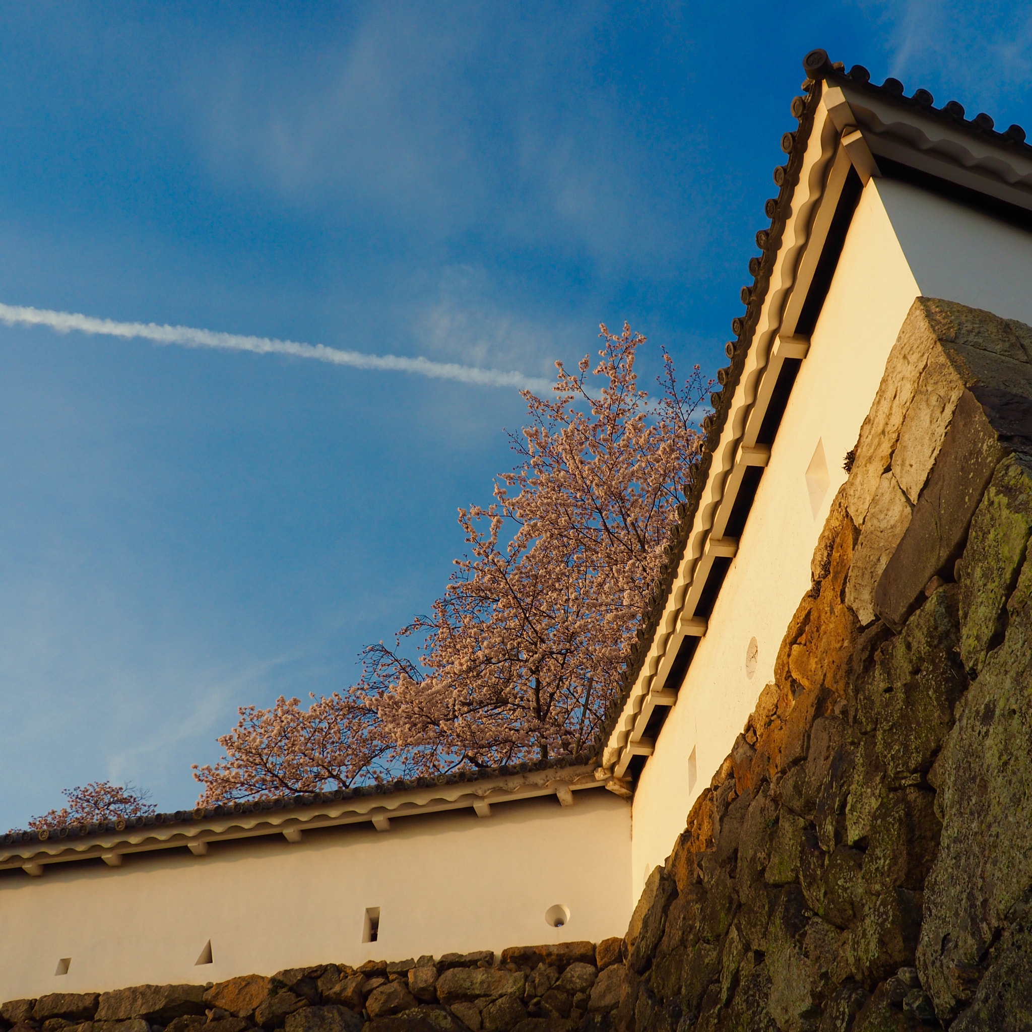 OLYMPUS M.12-50mm F3.5-6.3 sample photo. お城の一角 a corner of the castle photography