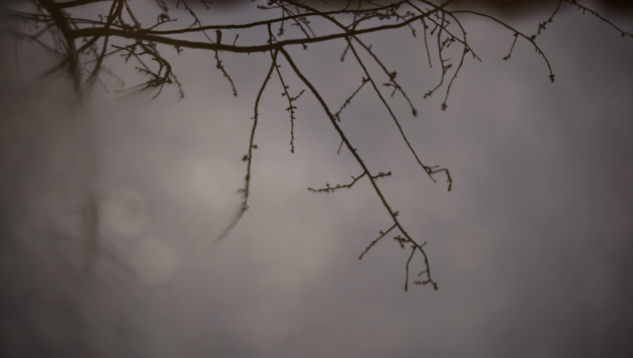 Sony a99 II sample photo. Refleos bajo la lluvia photography