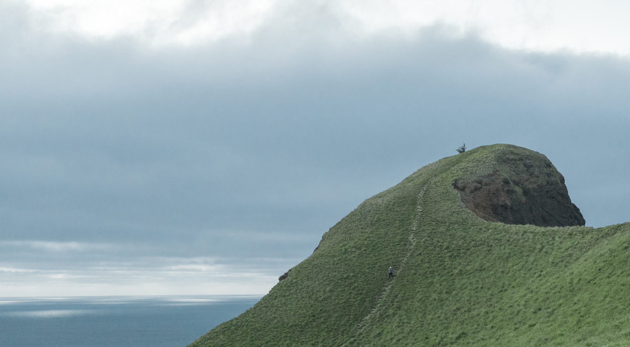 Tamron 18-270mm F3.5-6.3 Di II PZD sample photo. Thumbs up photography