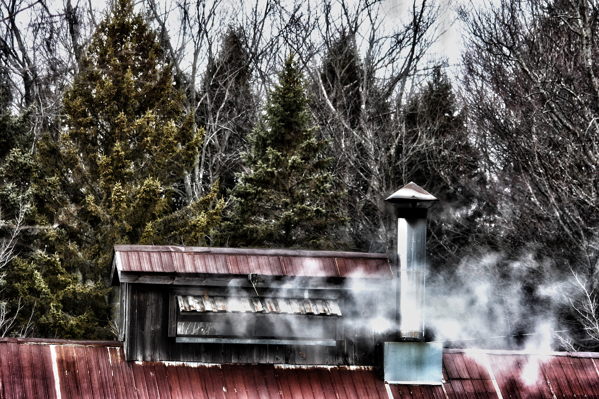 Canon EF 70-300mm F4-5.6 IS USM sample photo. Sugar shack photography