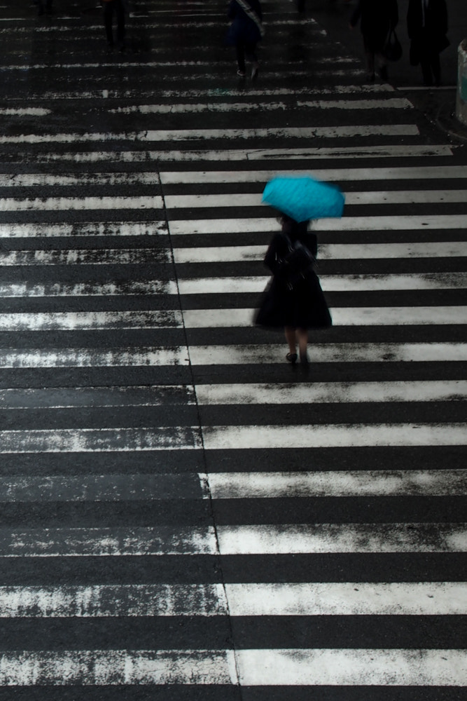 Olympus PEN E-P5 sample photo. Rain color photography