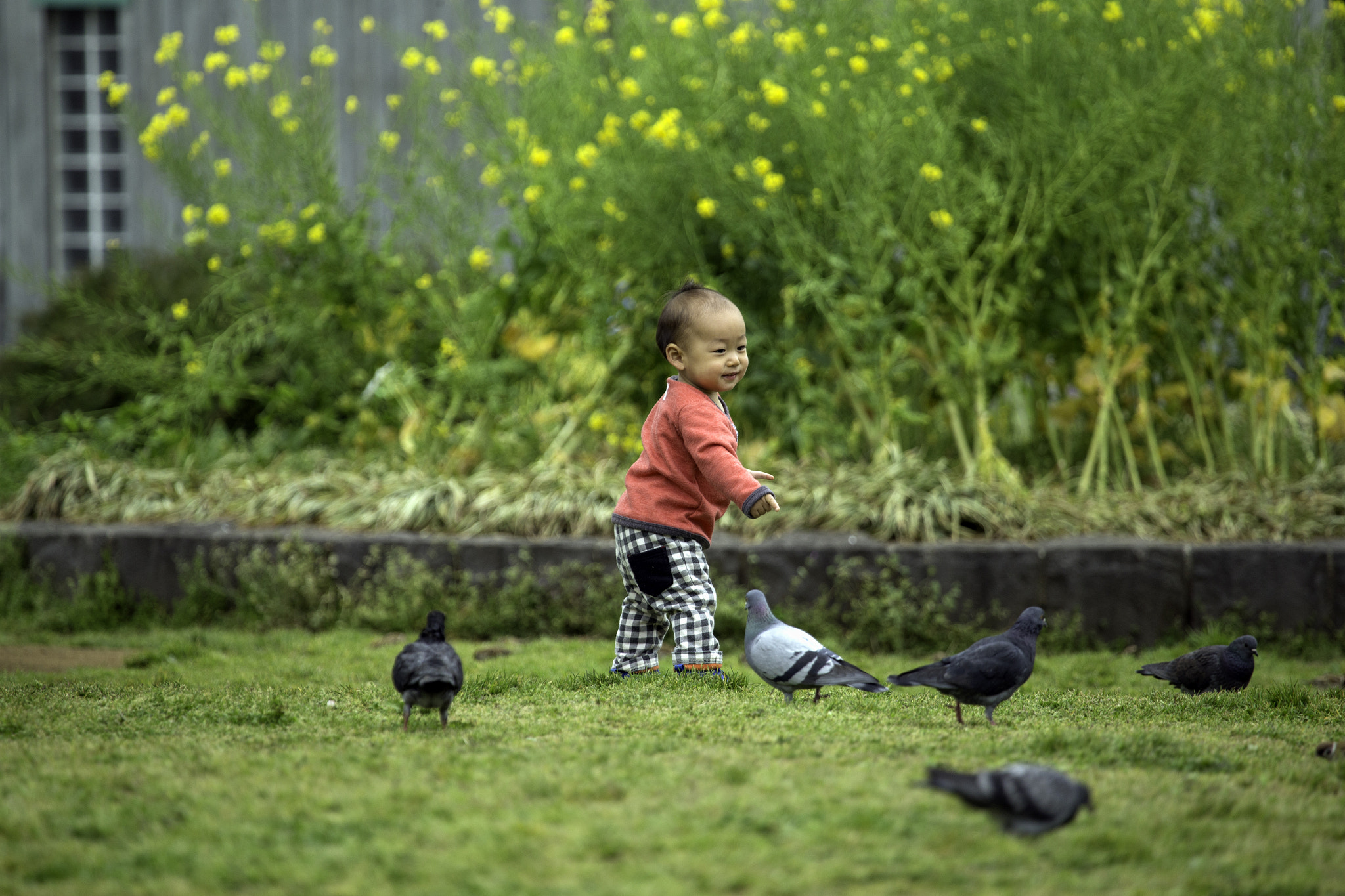 Canon EF 100-400mm F4.5-5.6L IS USM sample photo. Dancing with pigeons photography