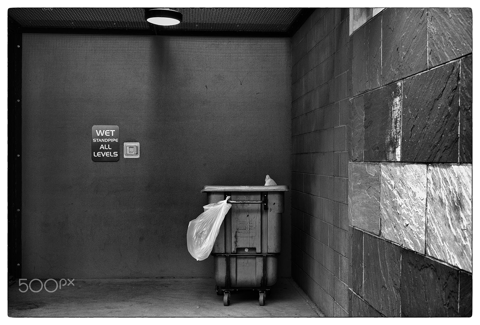 Leica Summarit-M 50mm F2.4 sample photo. Plastic bag (for brett erickson) photography