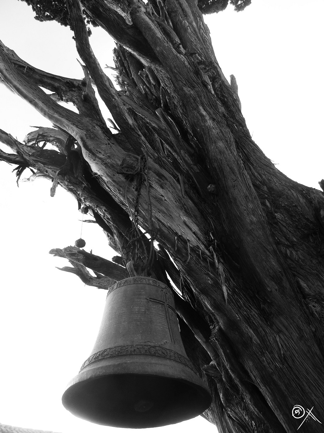 Samsung PL70 / VLUU PL70 /  SL720 sample photo. Campana photography