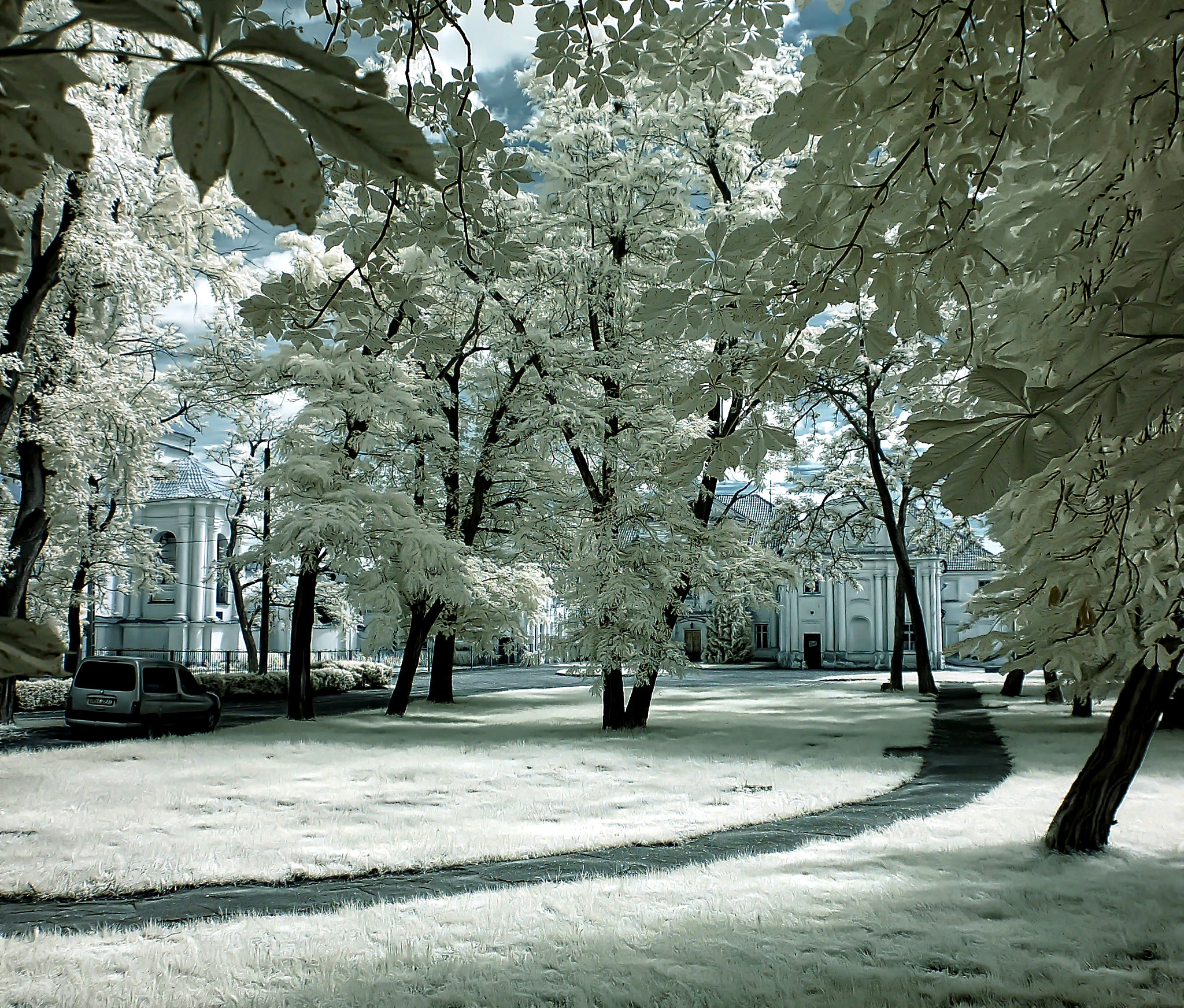 Nikon D50 sample photo. [ir] photography