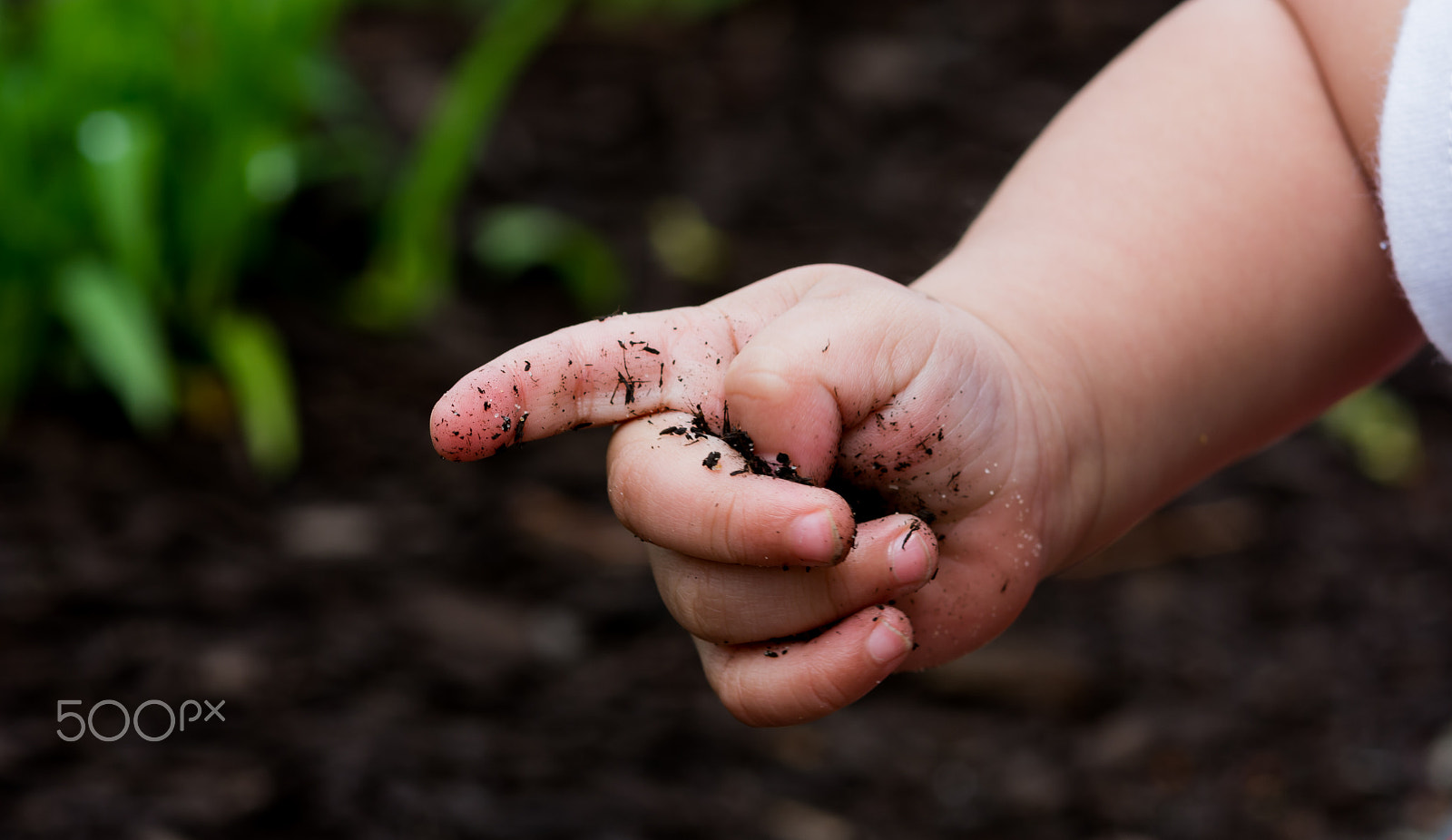 Nikon D7100 + Sigma 105mm F2.8 EX DG Macro sample photo. Hands.jpg photography