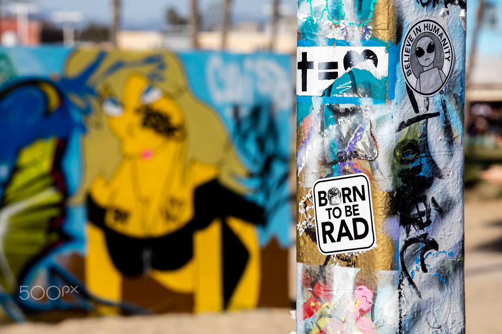 Canon EF 70-200mm F4L IS USM sample photo. Born to be rad photography