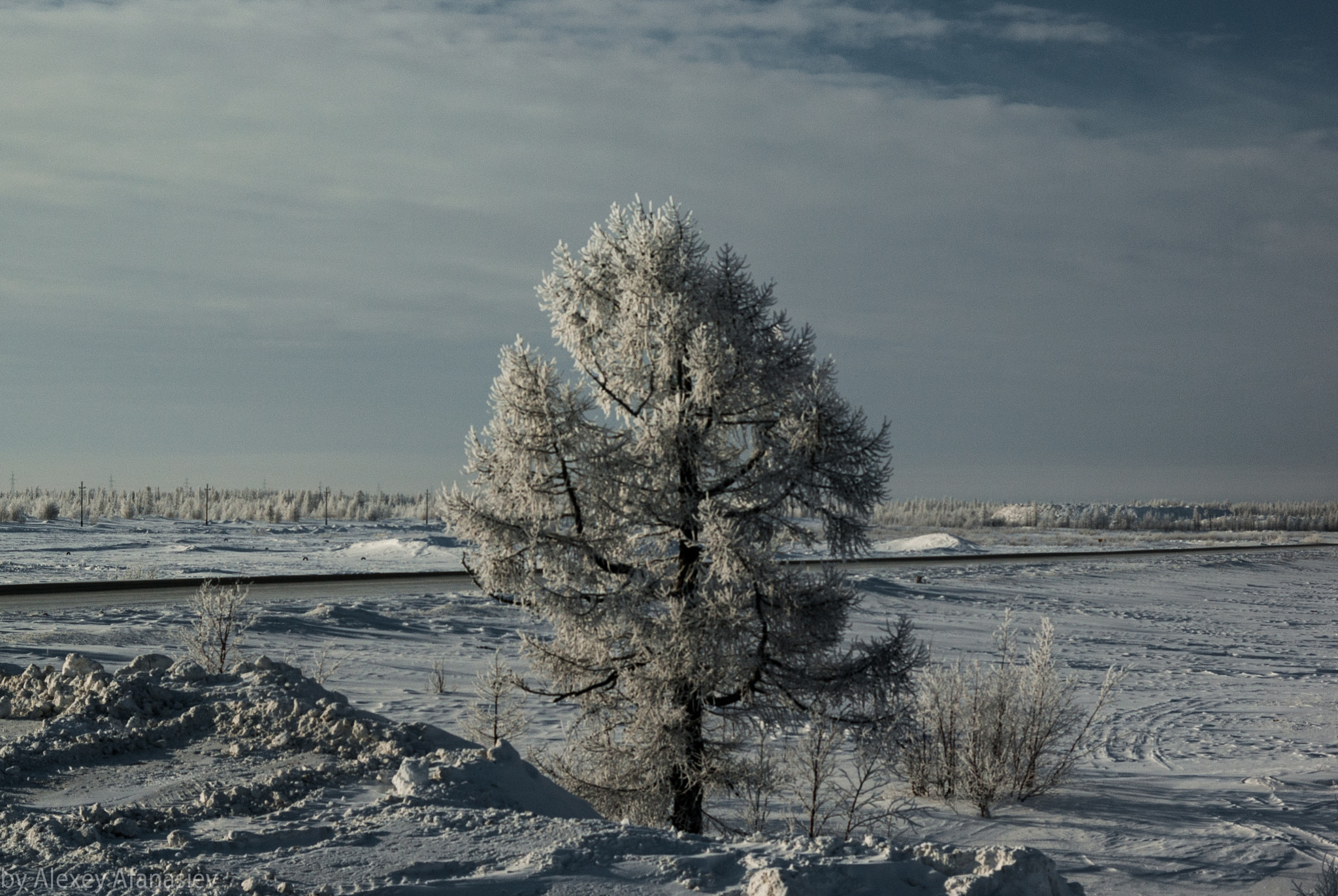 Pentax K10D + Pentax smc DA 50mm F1.8 sample photo. Winter day in novy urengoy photography