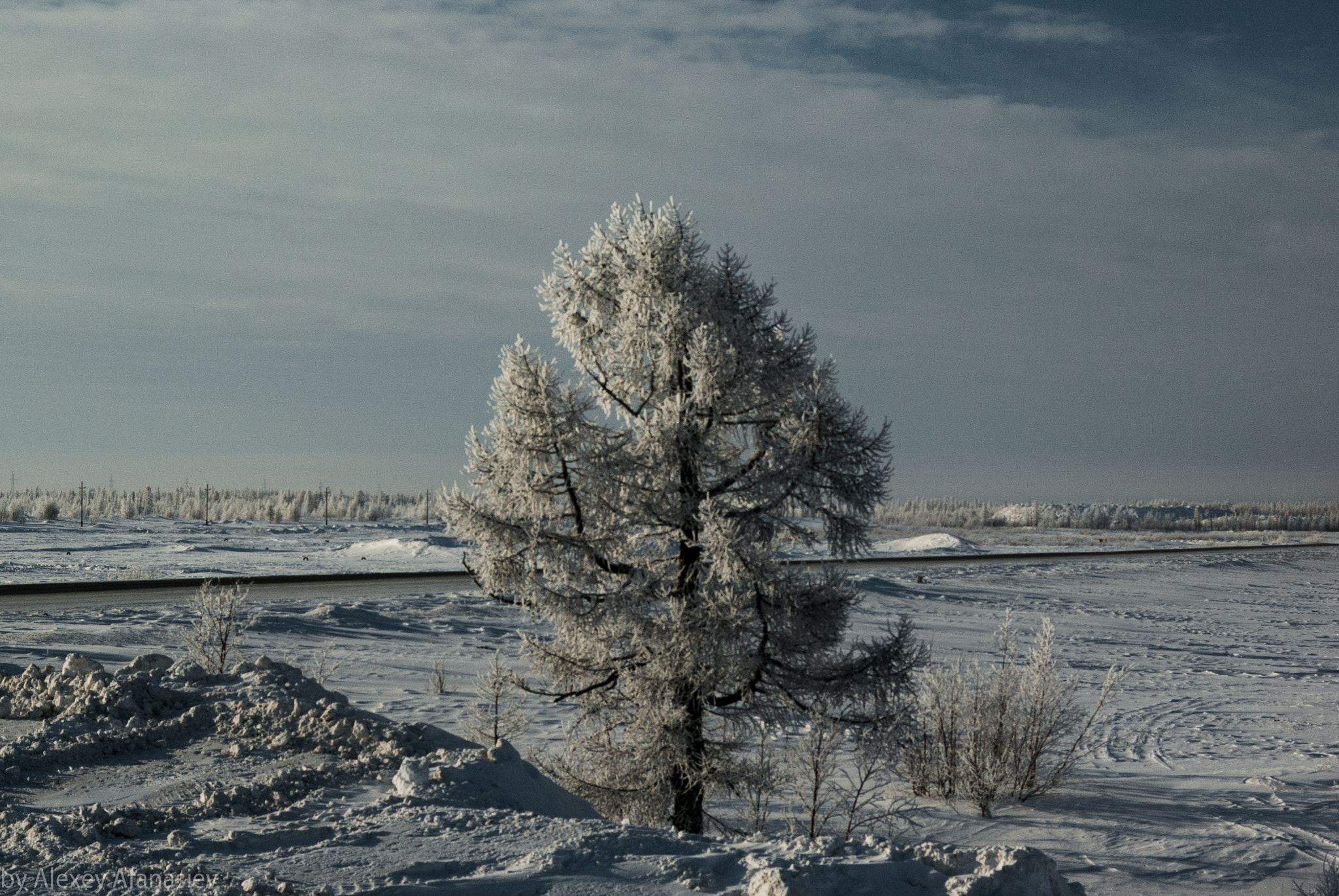 Pentax K10D + Pentax smc DA 50mm F1.8 sample photo. Winter day in novy urengoy photography