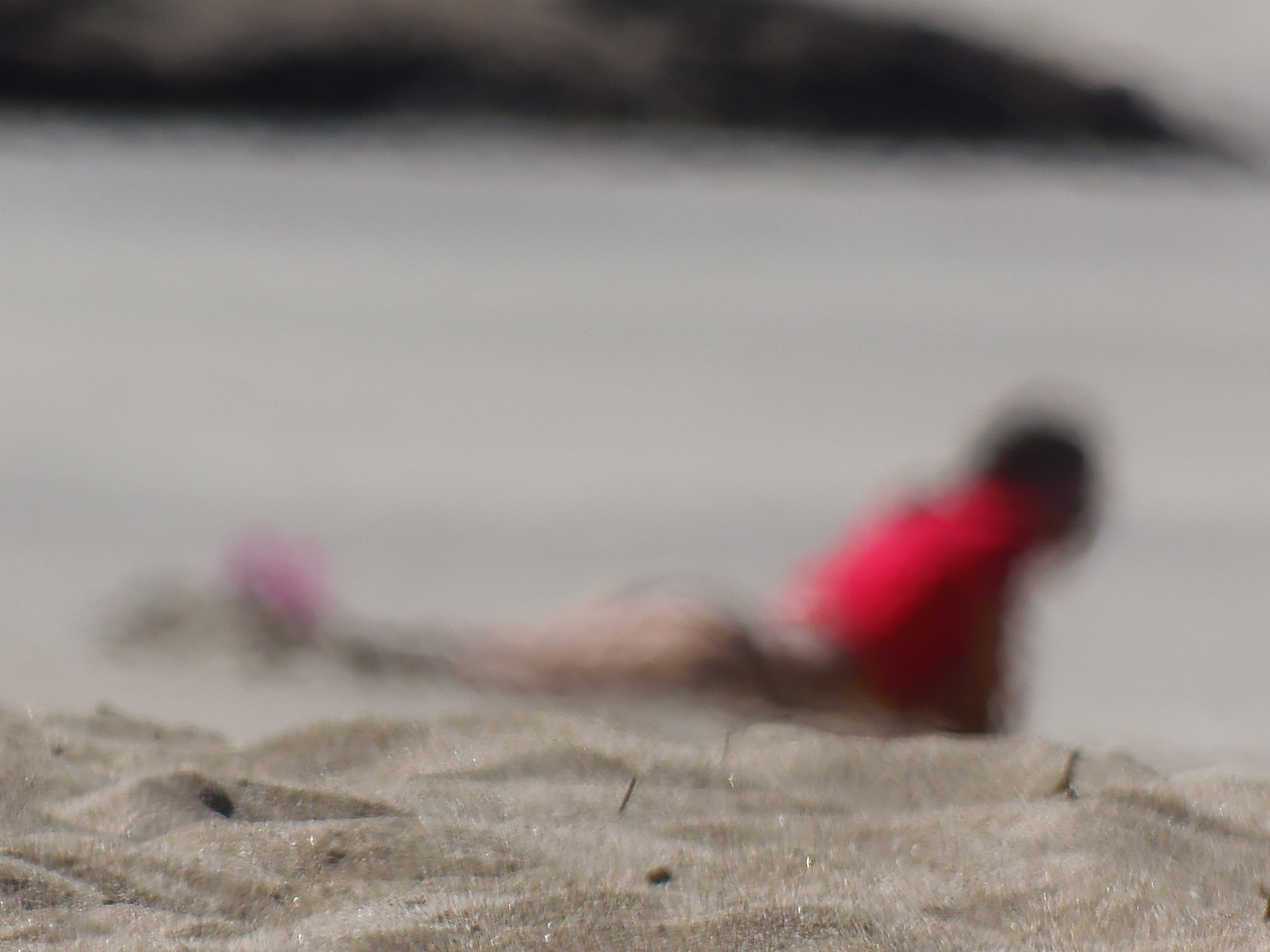 Olympus SP-810UZ sample photo. On the sand... photography