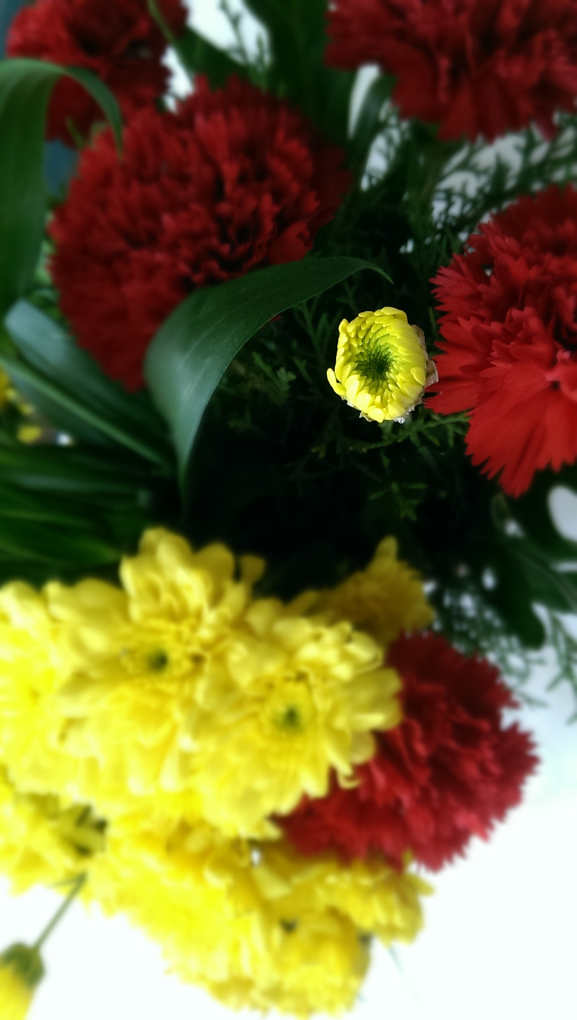 HTC ONE DUAL SIM sample photo. Flower , using my htc photography
