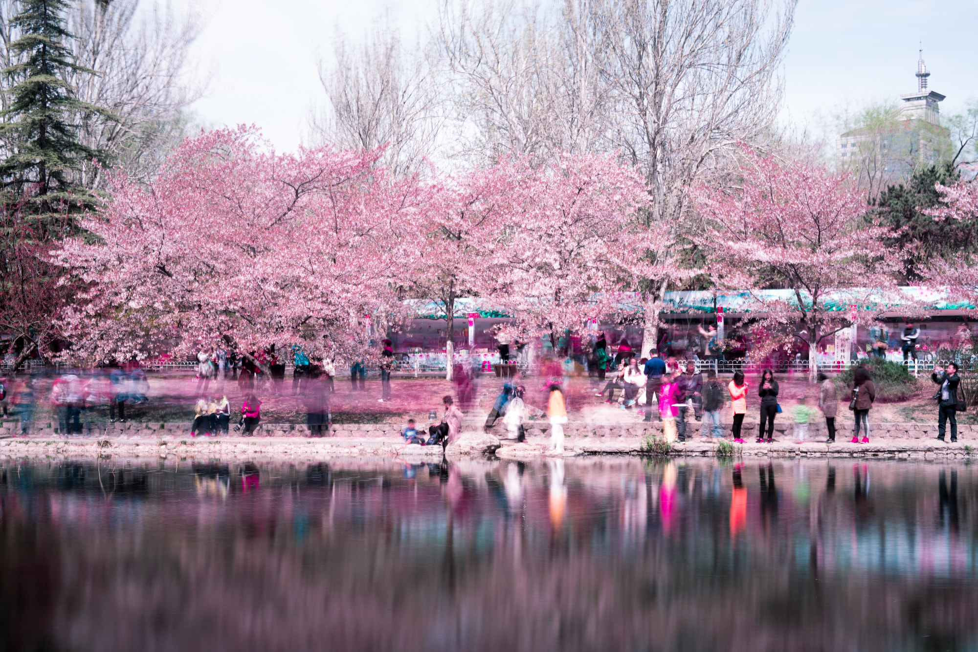 ZEISS Makro-Planar T* 50mm F2 sample photo