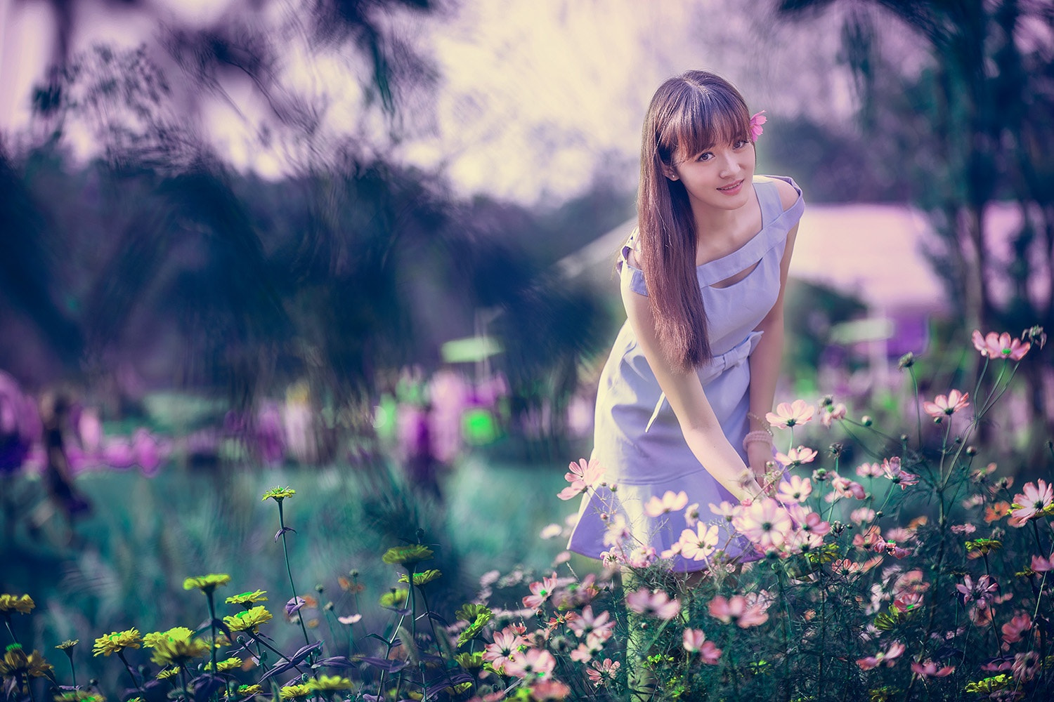 Nikon D3X sample photo