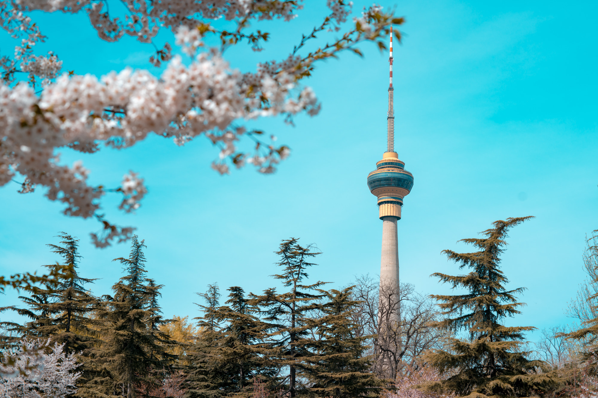 ZEISS Makro-Planar T* 50mm F2 sample photo
