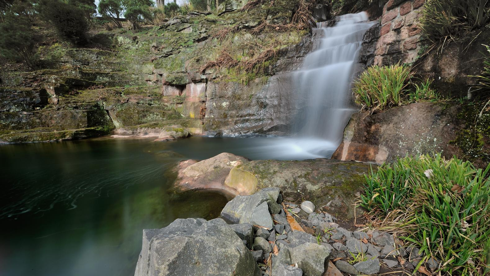 Nikon D3X sample photo. * photography