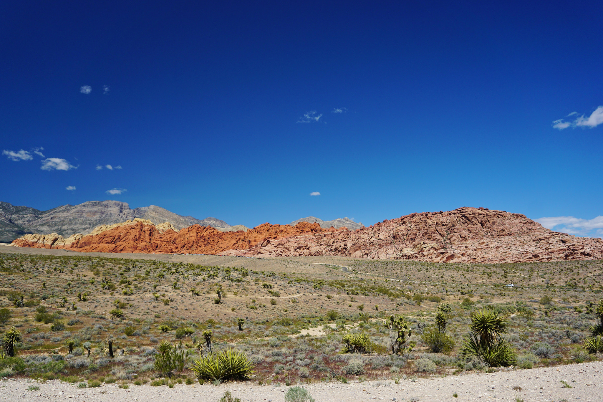 Sony E 16-50mm F3.5-5.6 PZ OSS sample photo. Red rock canyon  nevada photography