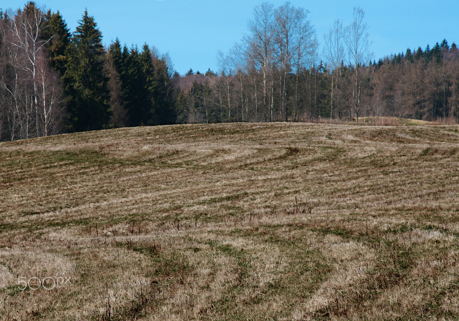 18.00 - 105.00 mm f/3.5 - 5.6 sample photo. Meadow photography