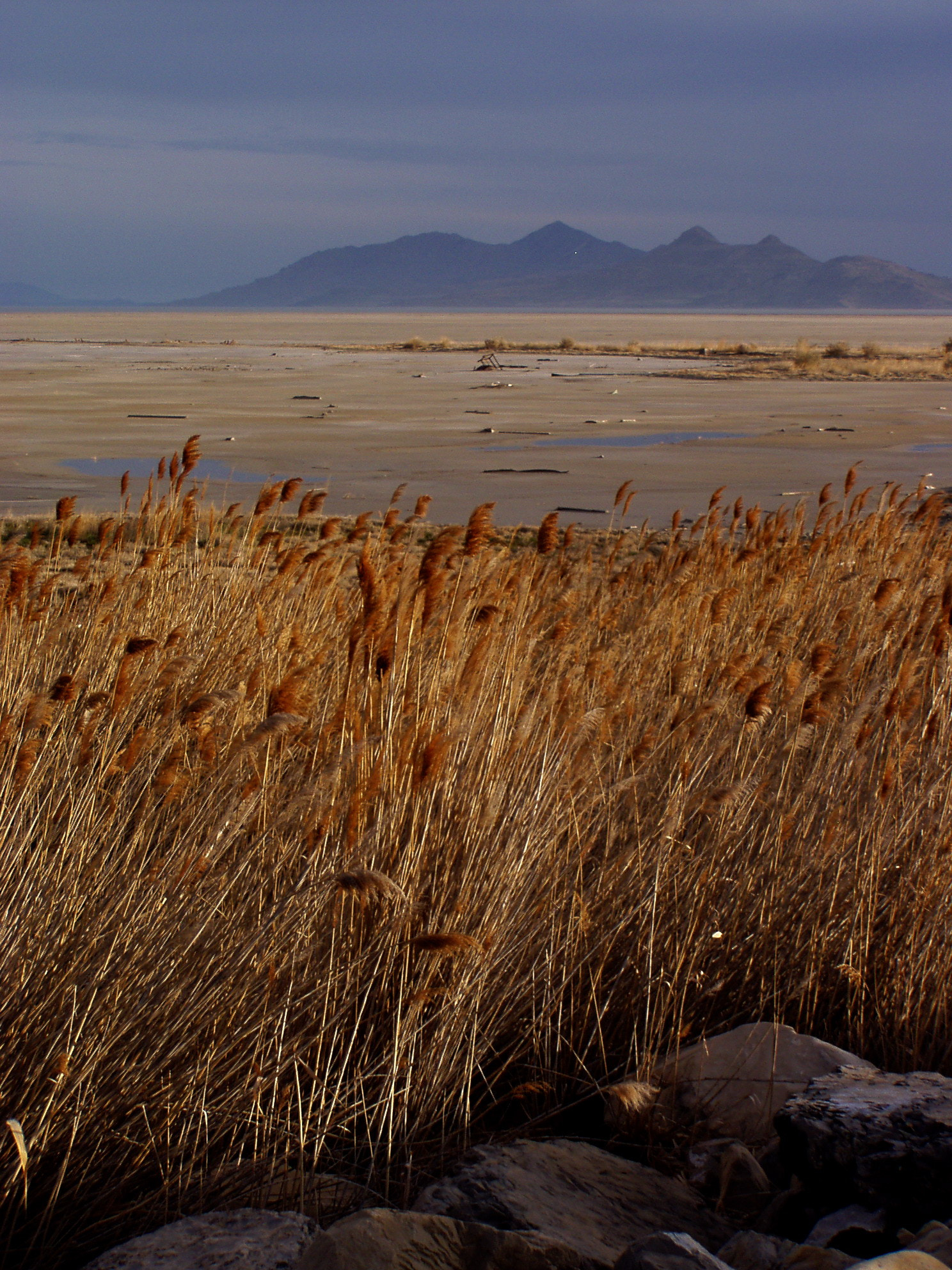 Olympus C720UZ sample photo. Great salt lake area 6 photography