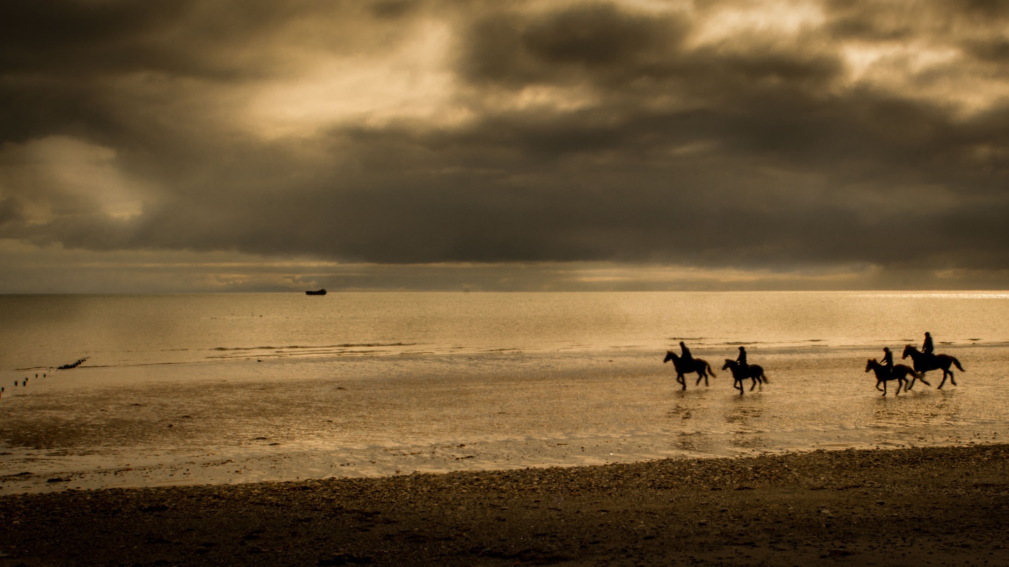 Nikon D7100 + Sigma 24-70mm F2.8 EX DG Macro sample photo. Stormy gallop photography