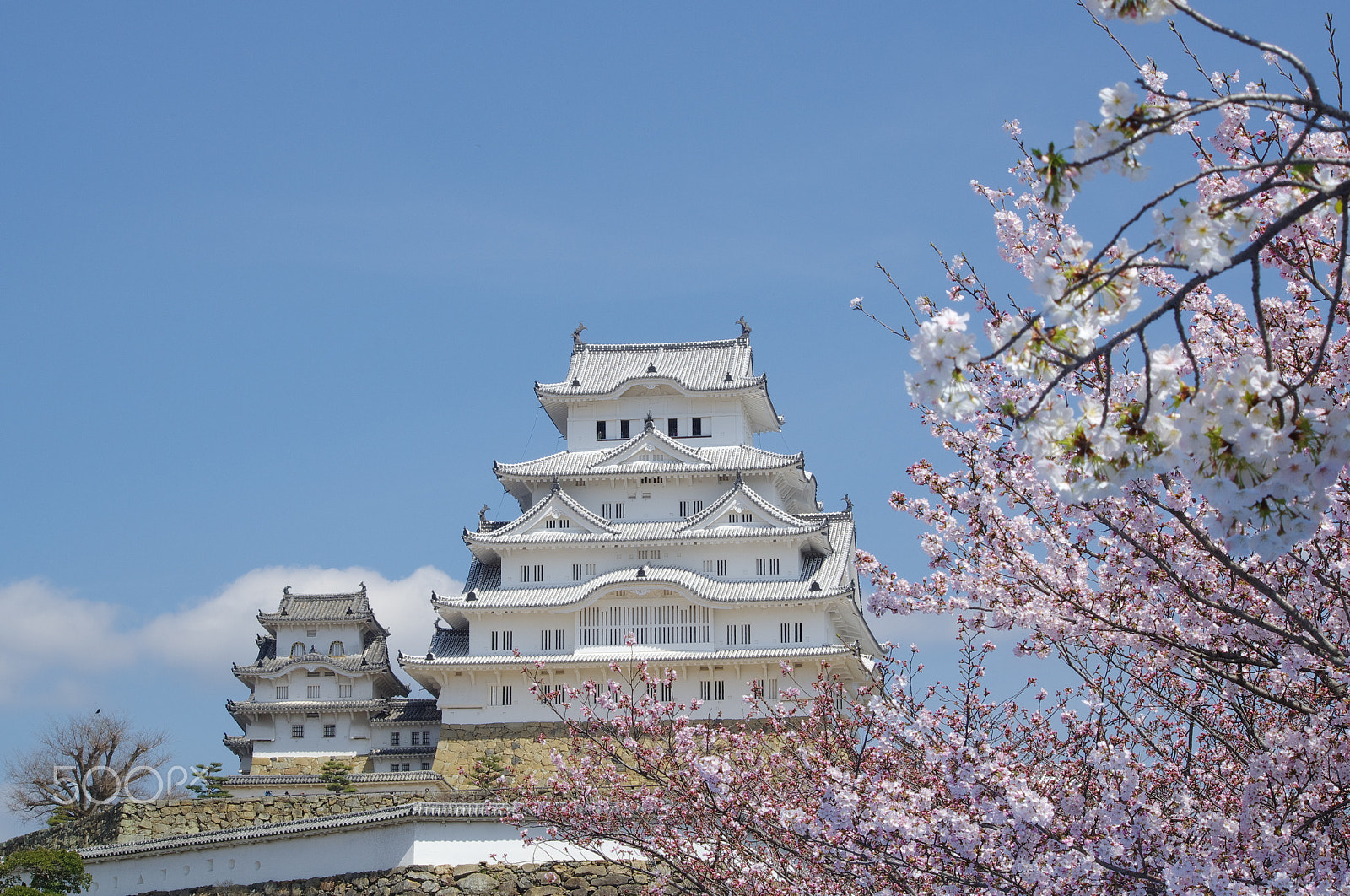 smc PENTAX-DA L 55-300mm F4-5.8 ED sample photo. White casltle photography