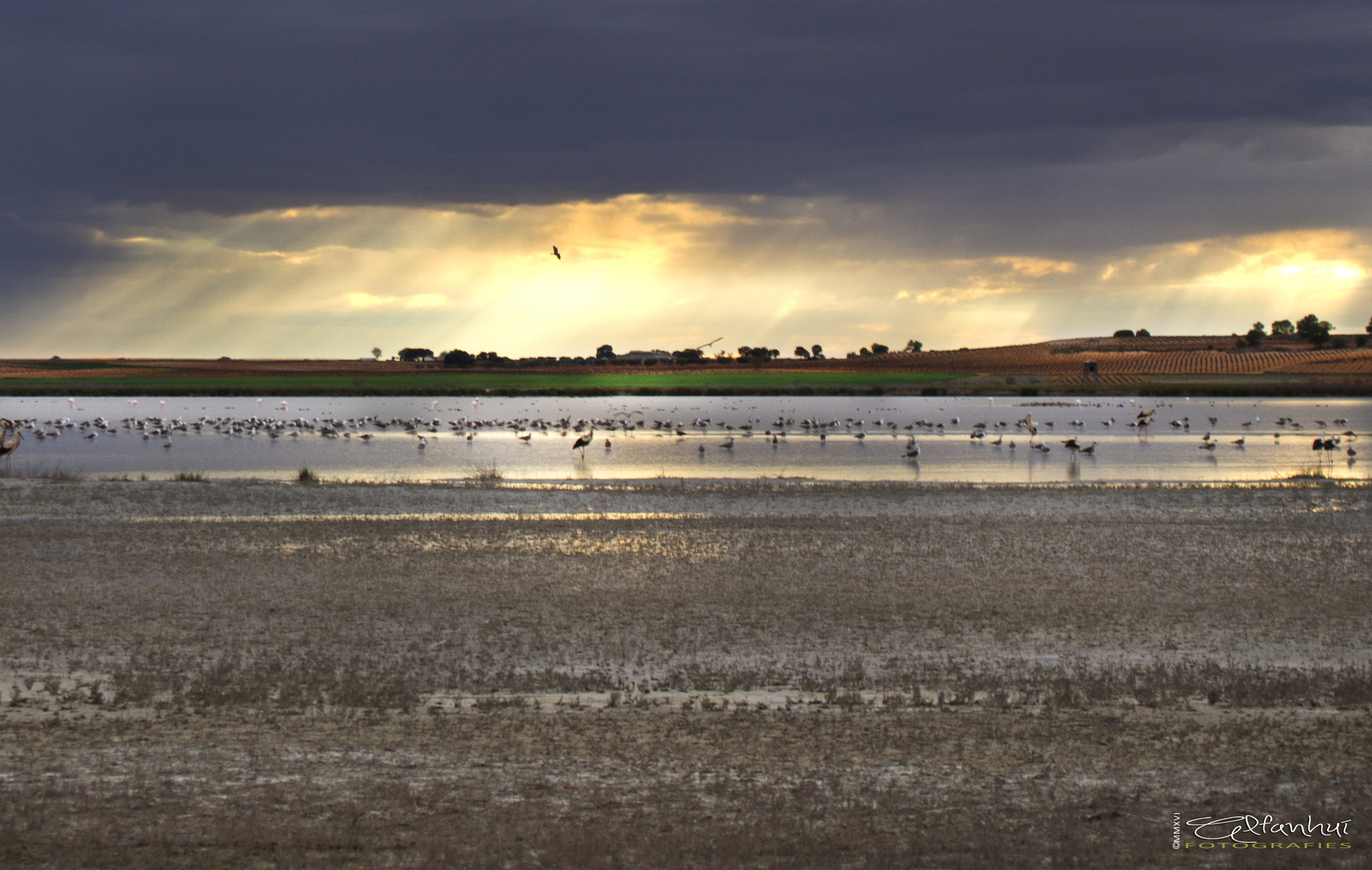 The Manjavacas lagoon