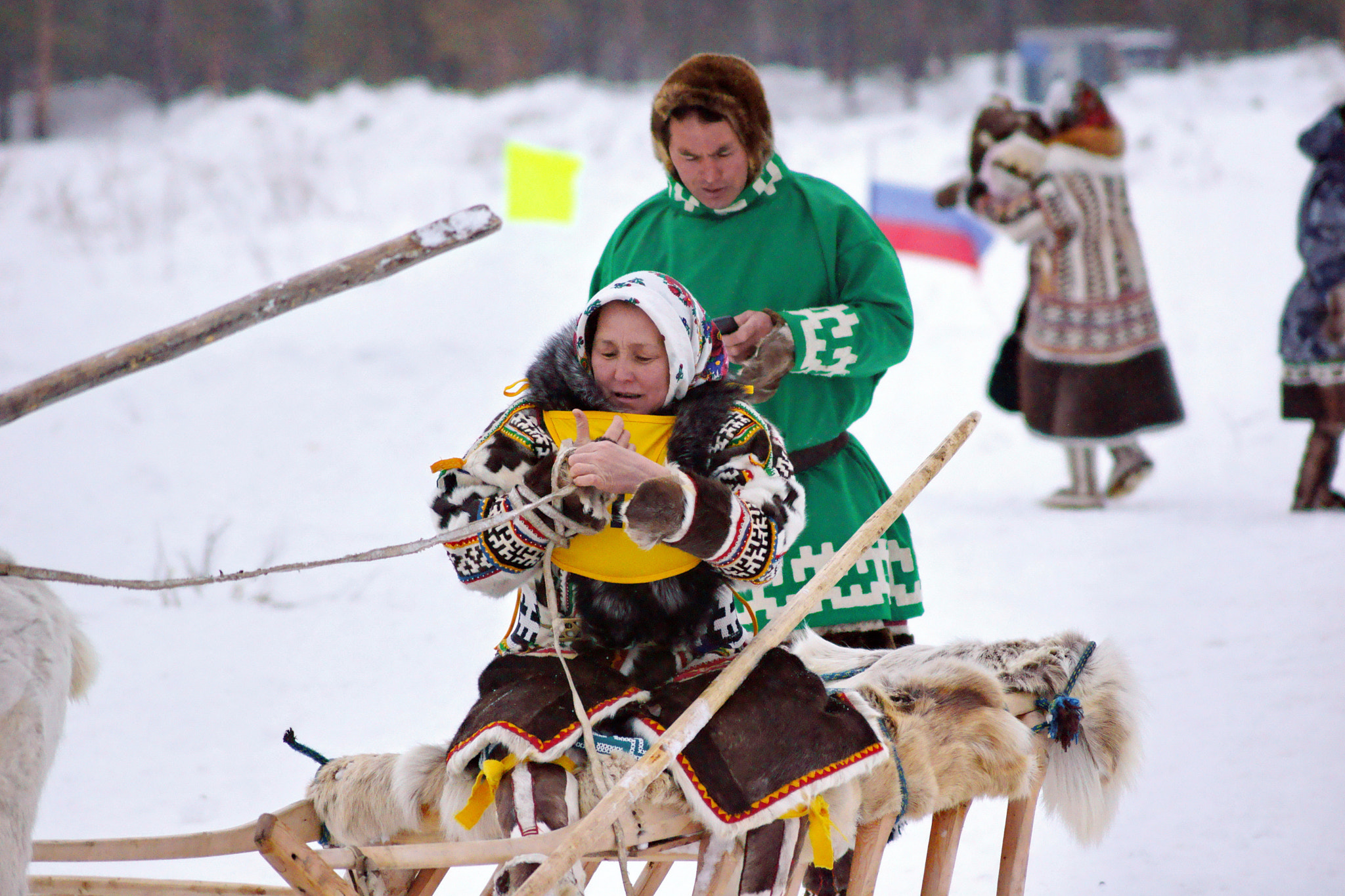 Sony DT 55-200mm F4-5.6 SAM sample photo. Deer race photography