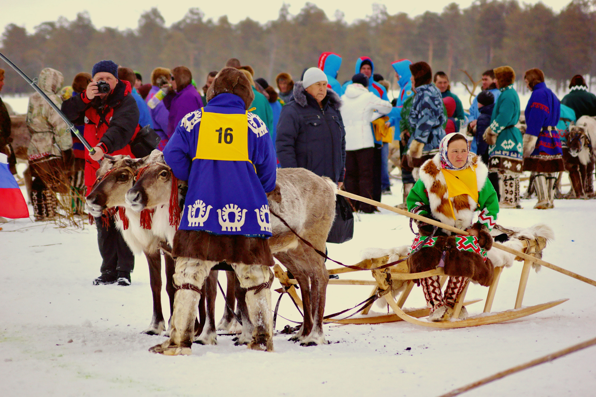 Sony DT 55-200mm F4-5.6 SAM sample photo. Deer race photography