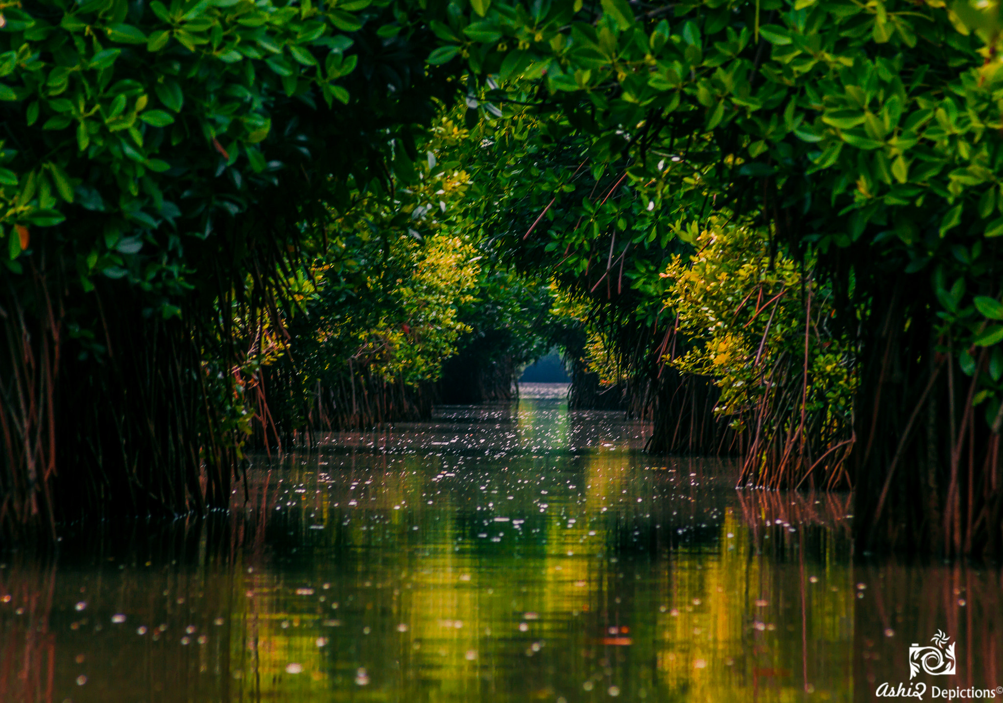 Canon EF 70-210mm f/3.5-4.5 USM sample photo. Backwater photography