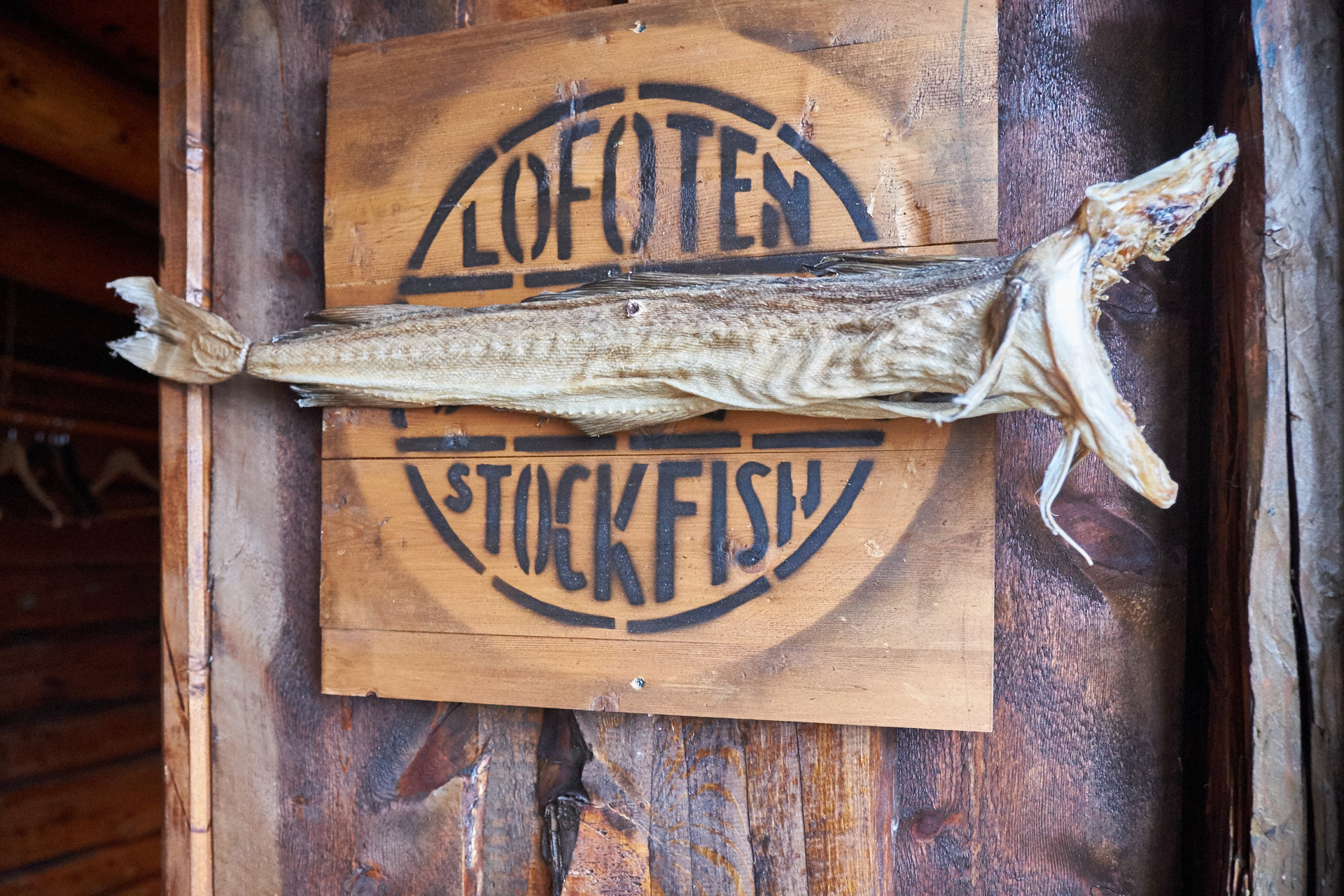 Fujifilm X-Pro1 + Fujifilm XF 16-55mm F2.8 R LM WR sample photo. Stockfish photography
