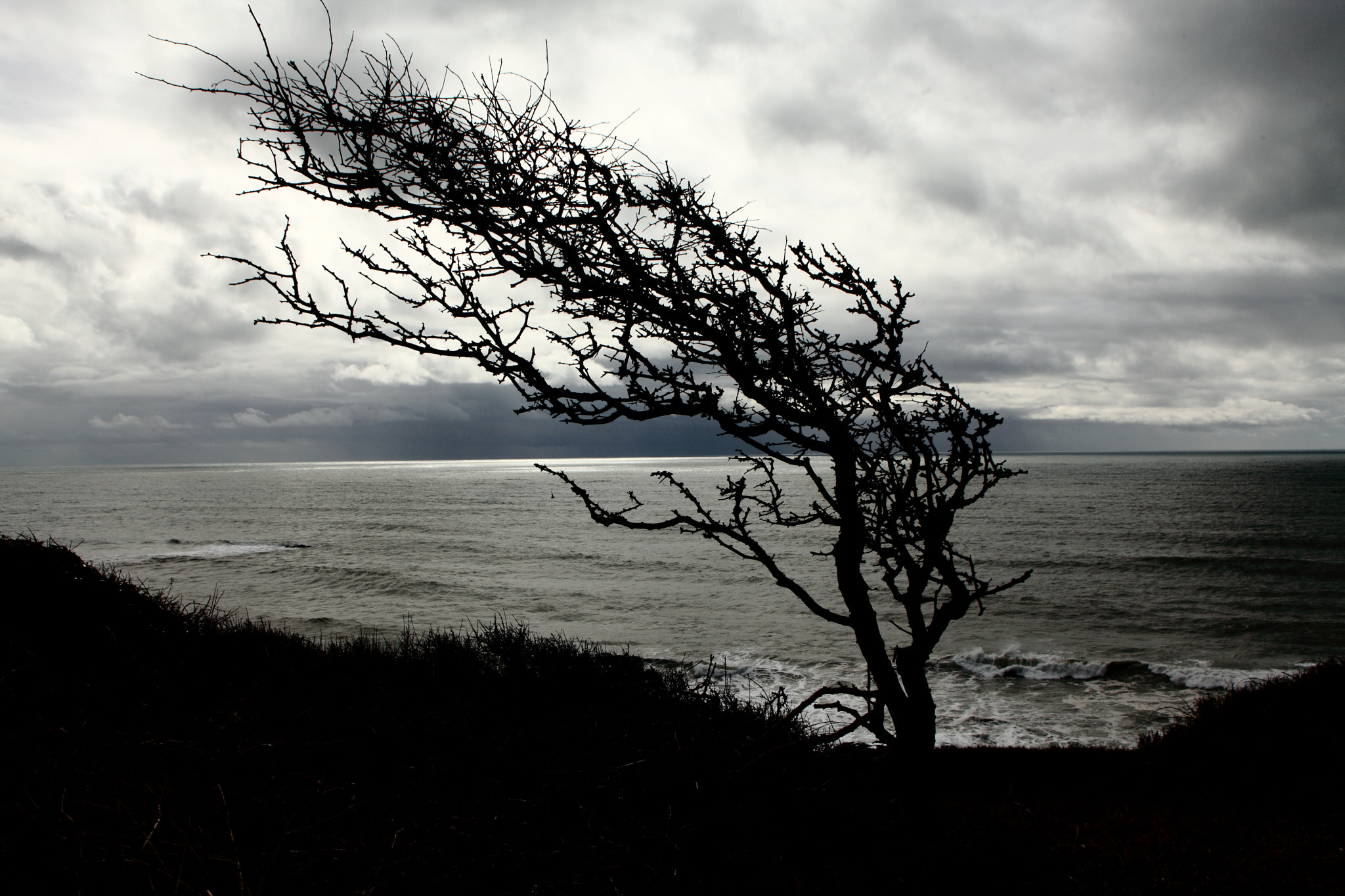 Canon EF 20-35mm F3.5-4.5 USM sample photo. Wind blown. photography