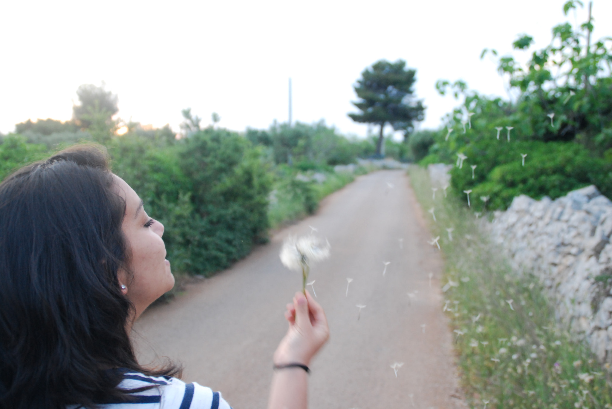 Nikon D60 sample photo. Primavera photography