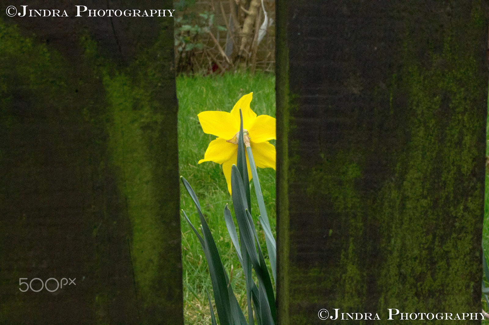 Canon EF-S 18-55mm F3.5-5.6 sample photo. Close up gal photography