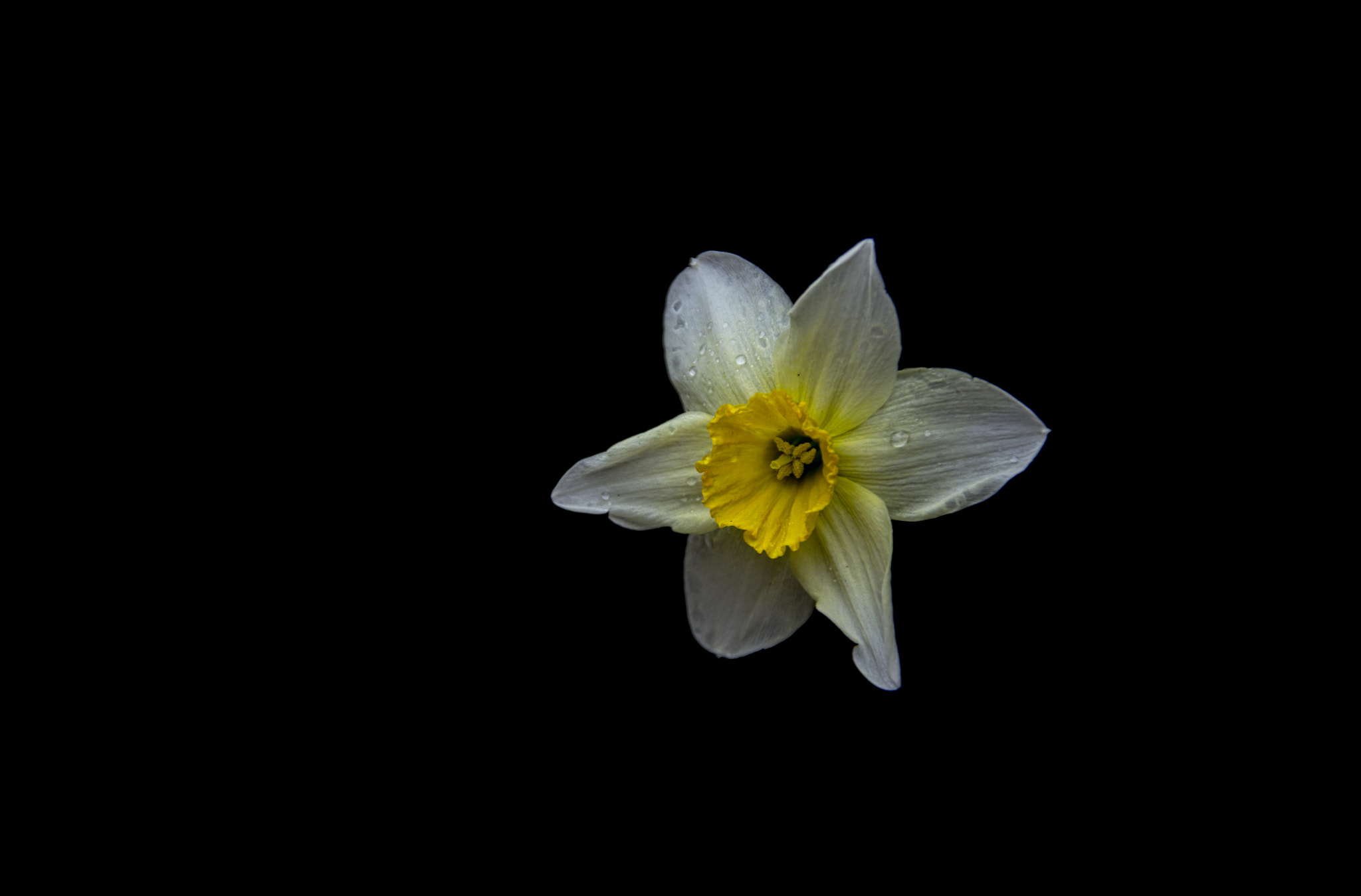 Sigma 18-125mm F3.8-5.6 DC HSM sample photo. Another point of view photography
