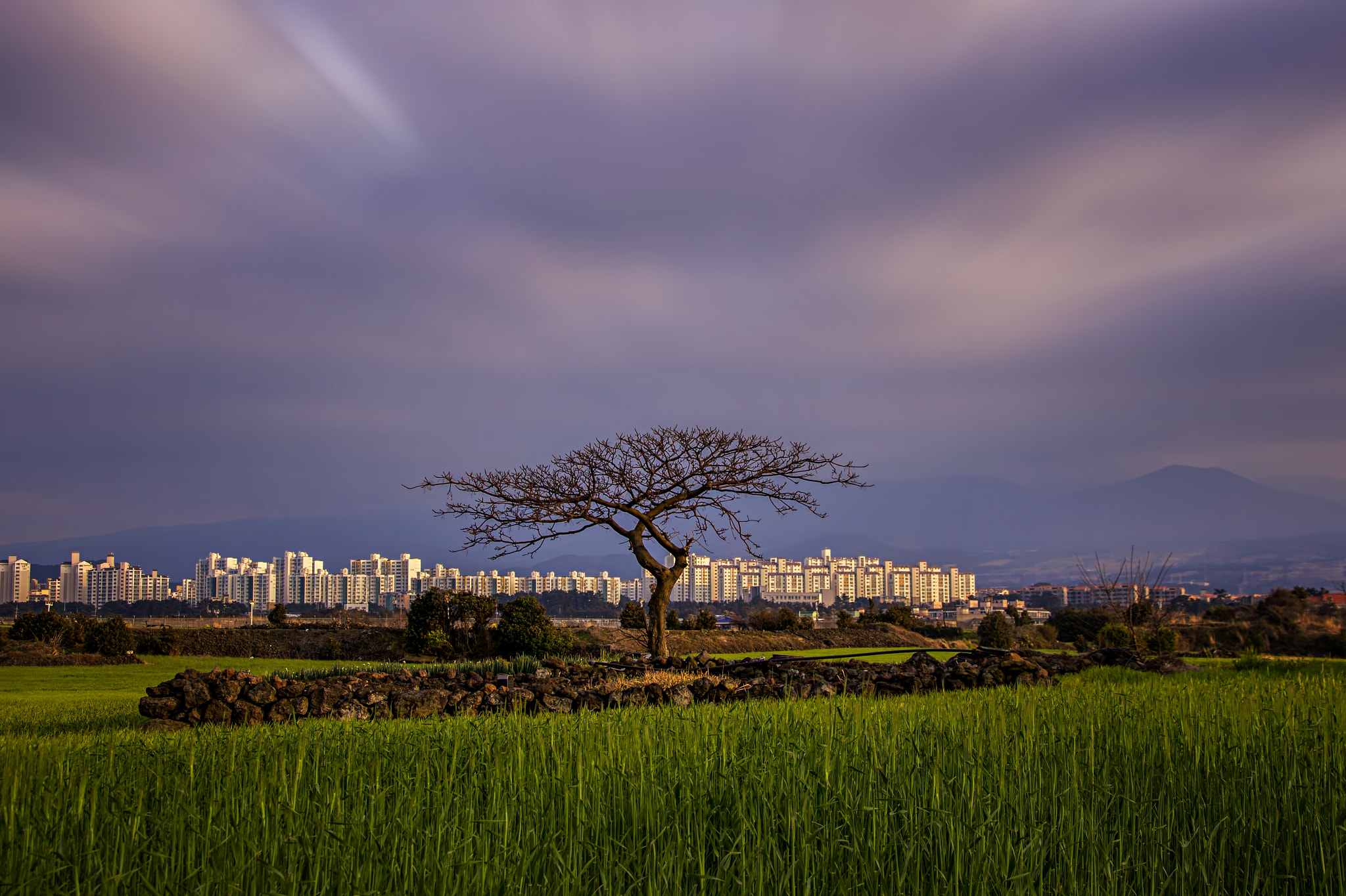 Canon EF-S 18-135mm F3.5-5.6 IS STM sample photo. 봄의 시작 photography