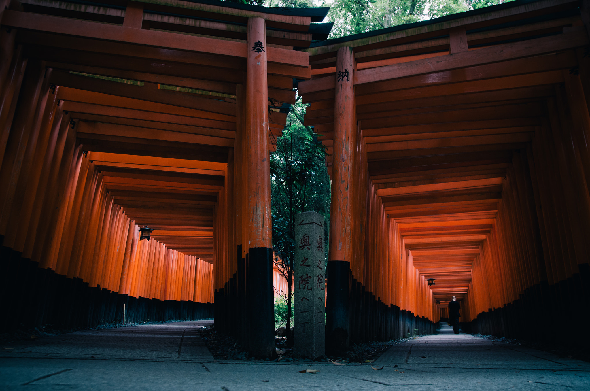 Sigma 17-50mm F2.8 EX DC HSM sample photo. Shrine. photography