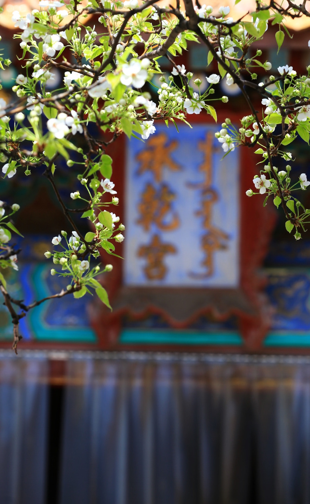 Canon EF 70-200mm F2.8L IS II USM sample photo