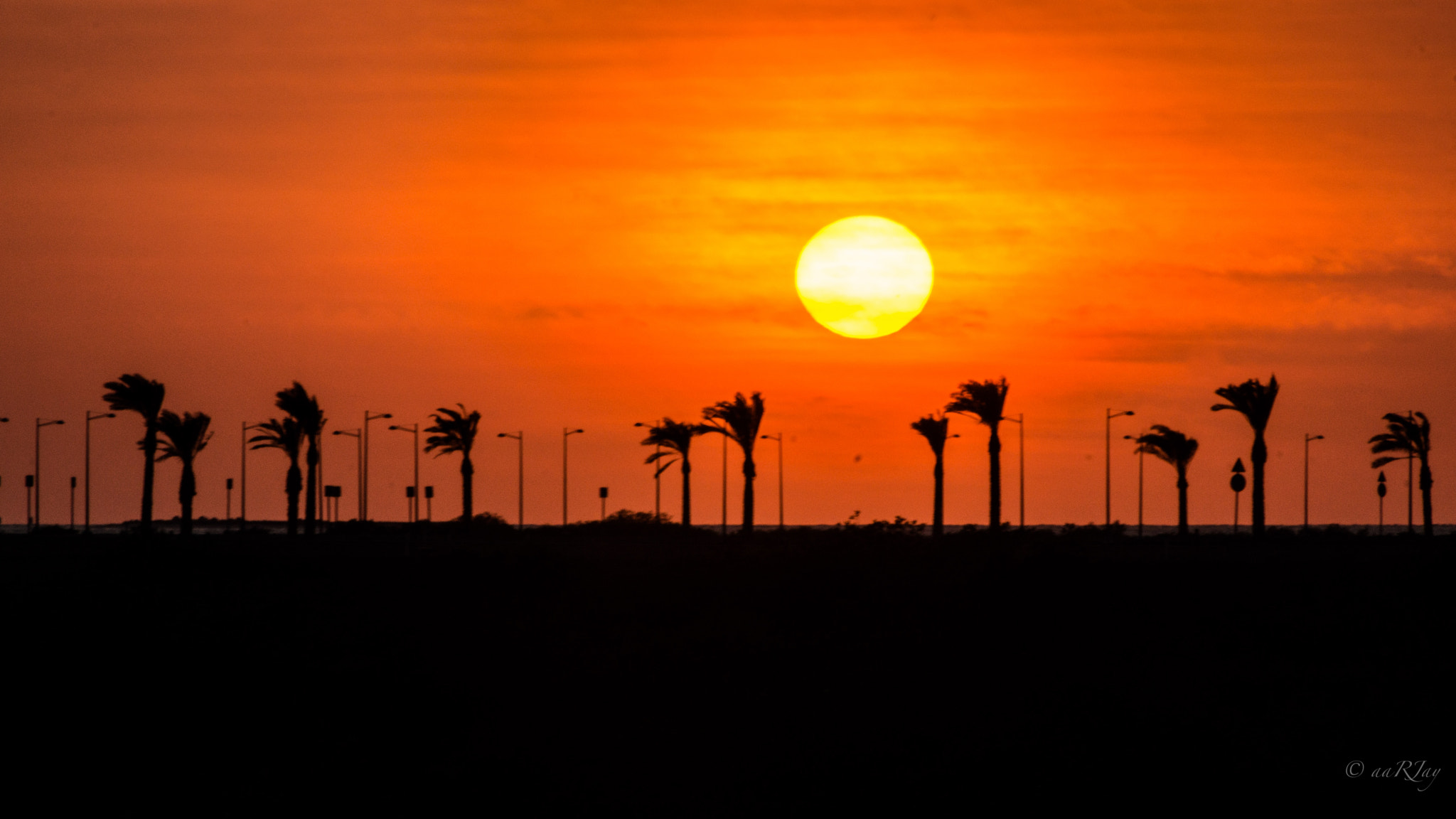 Sony SLT-A77 sample photo. Fire ball, palm trees, and light poles photography