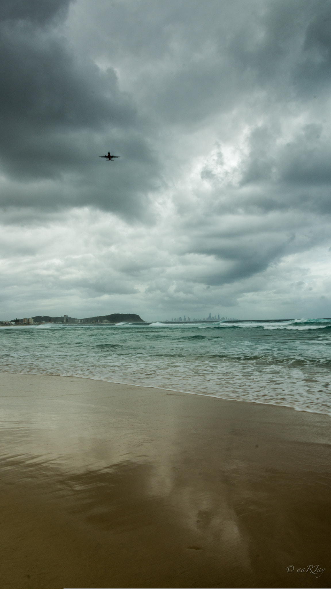 Sony SLT-A77 sample photo. Fly away photography