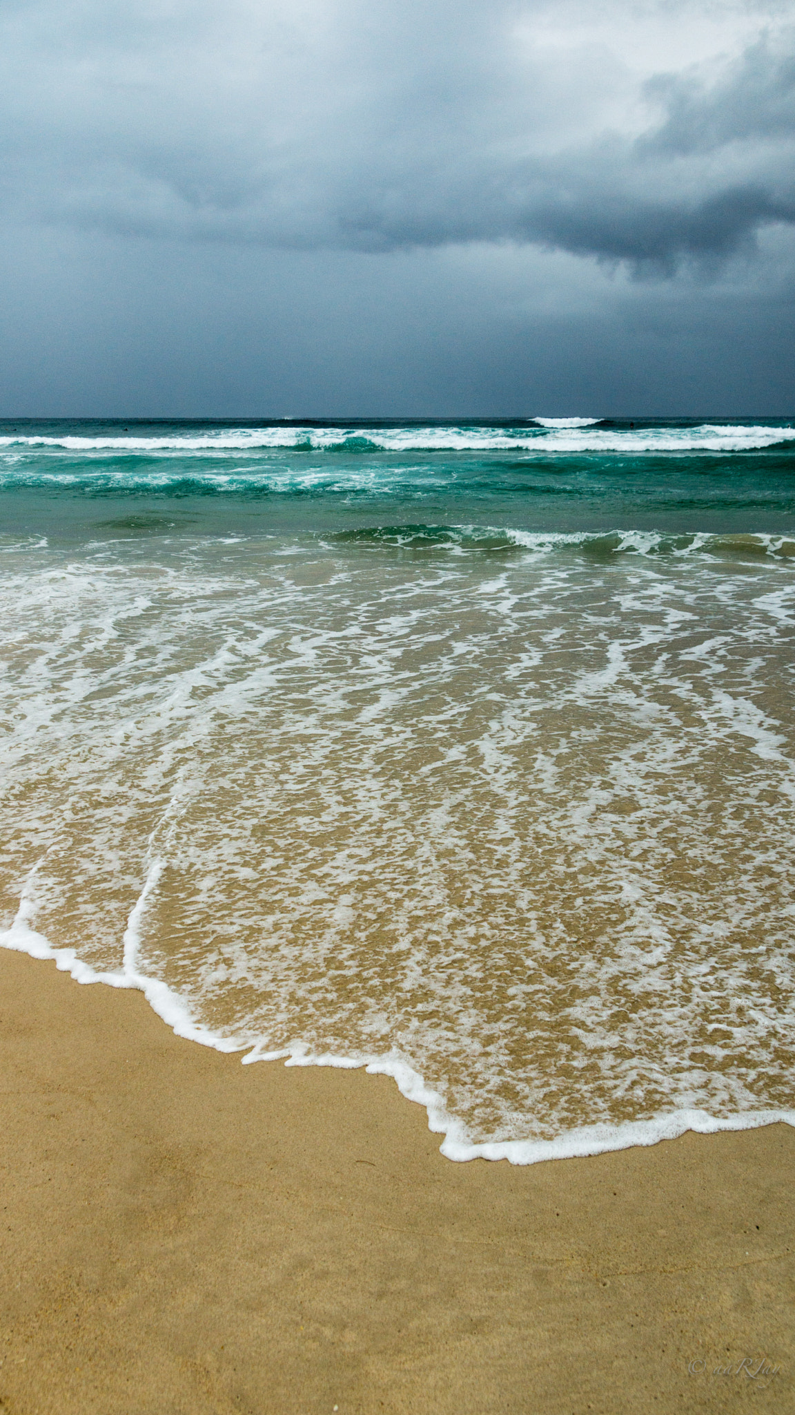 Sony SLT-A77 sample photo. Froth photography