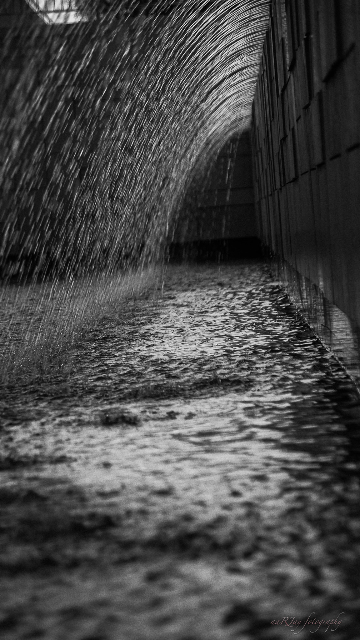 Sony SLT-A77 sample photo. Streaming drops photography