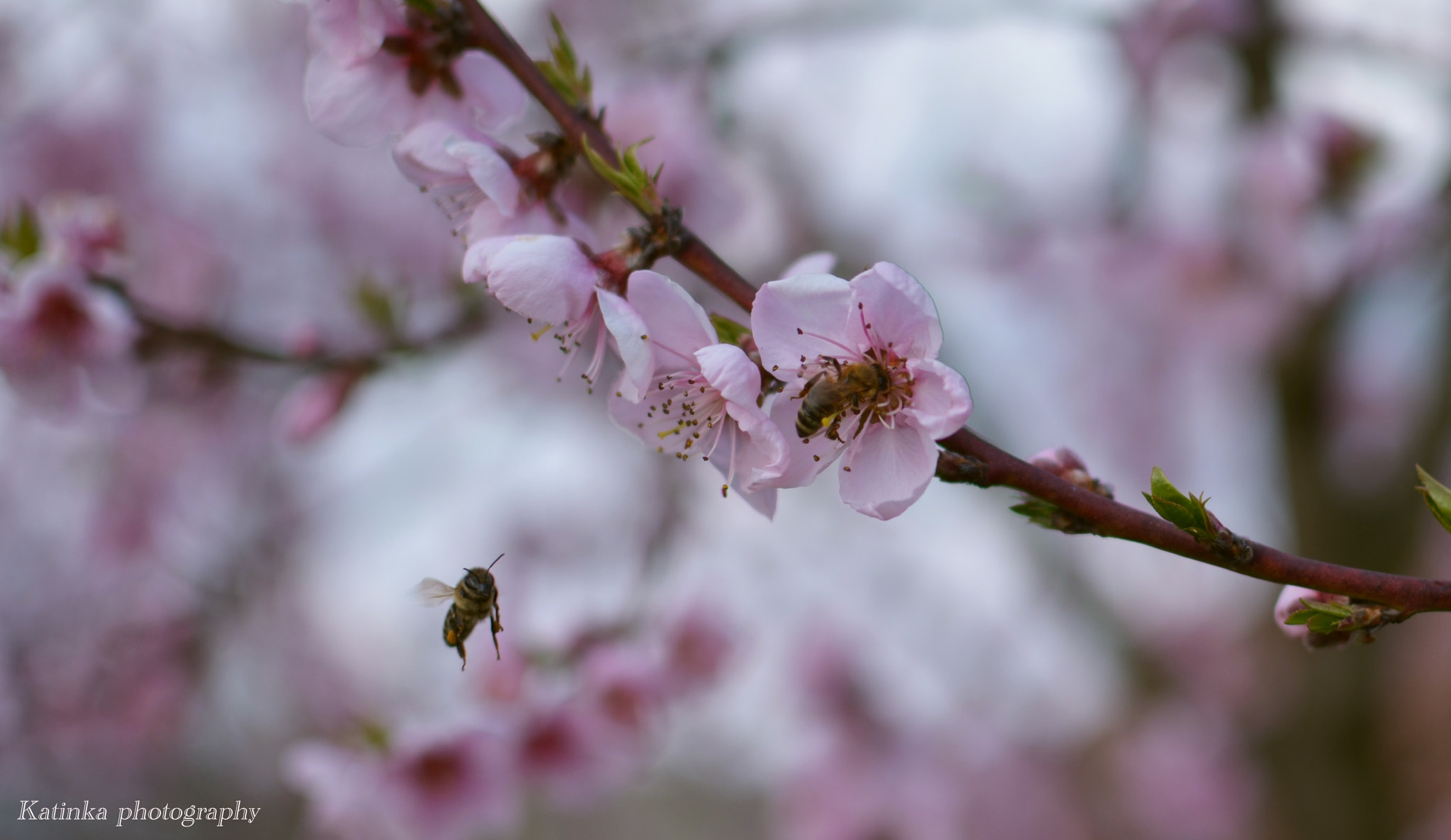 Nikon D5100 + Nikon AF-S Nikkor 35mm F1.4G sample photo. Moment photography