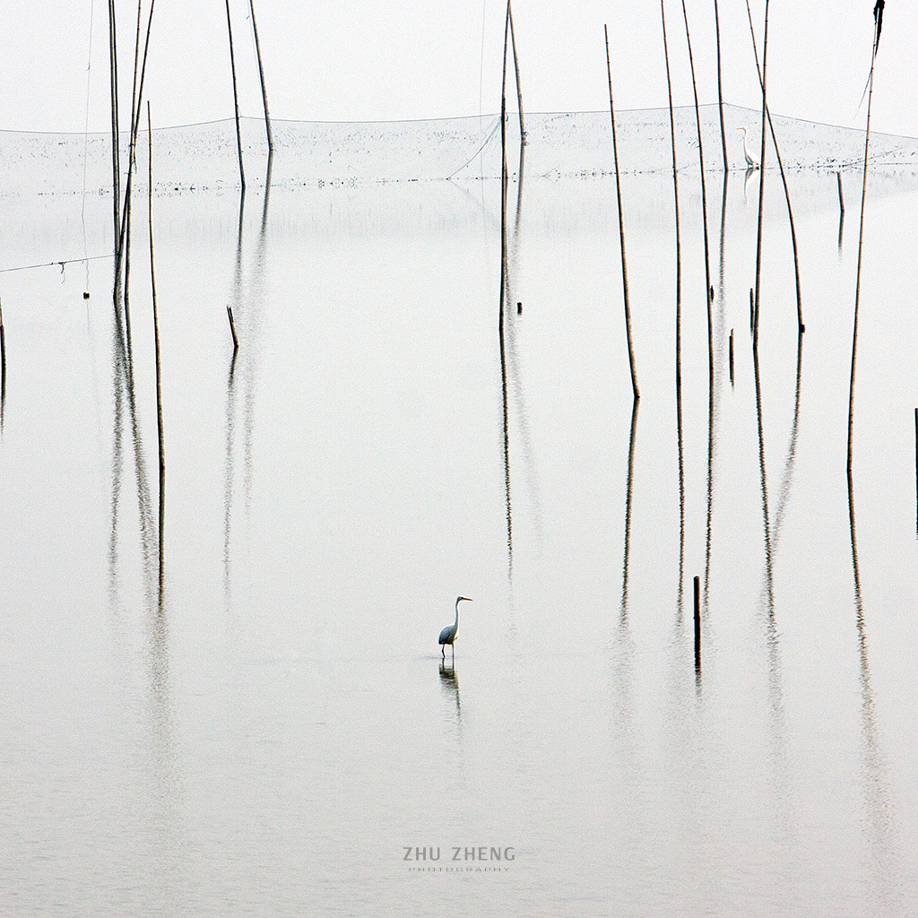 Canon EF 70-200mm F2.8L USM sample photo. In water photography