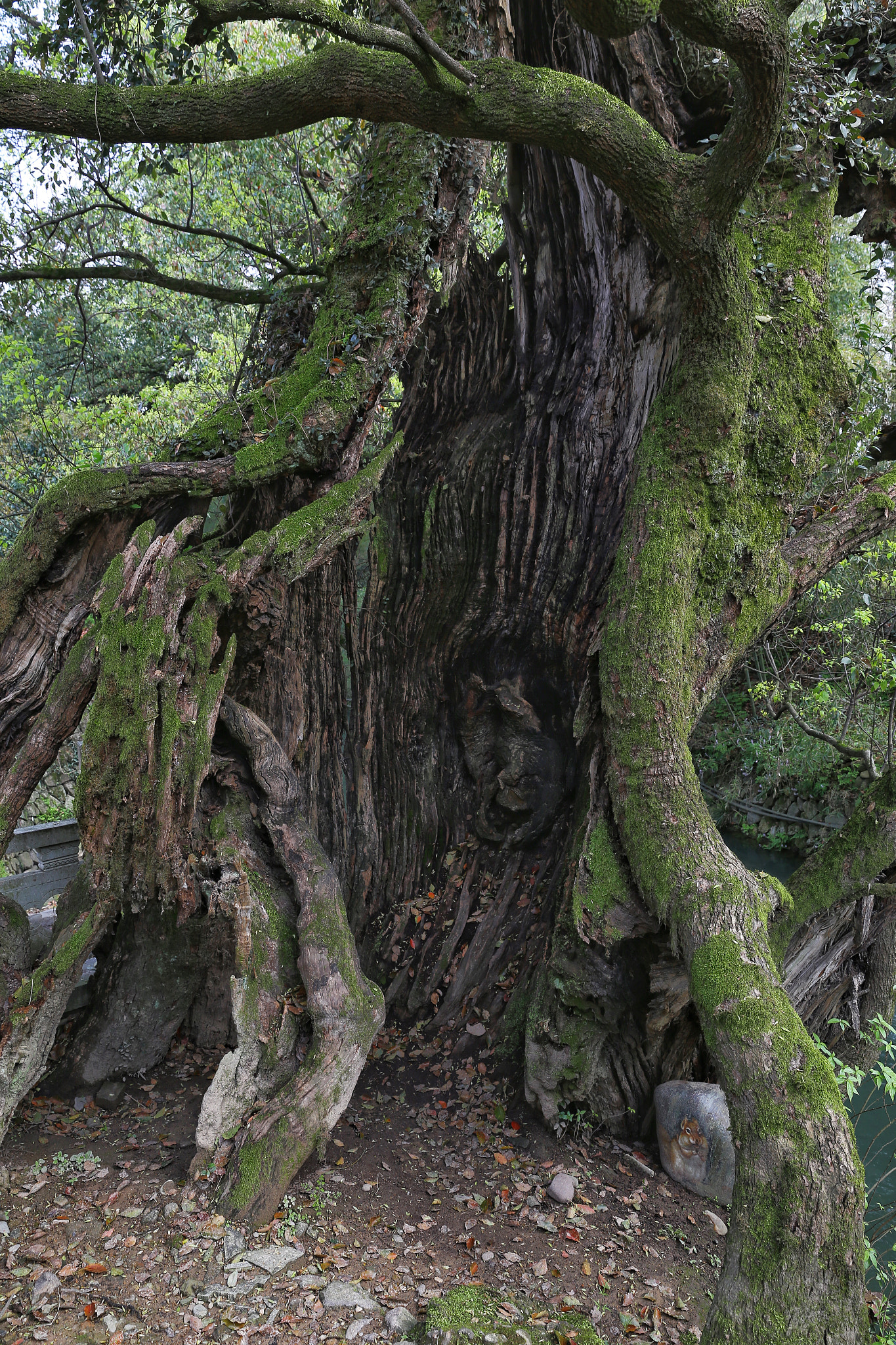 Canon EF 24-70mm F2.8L II USM sample photo