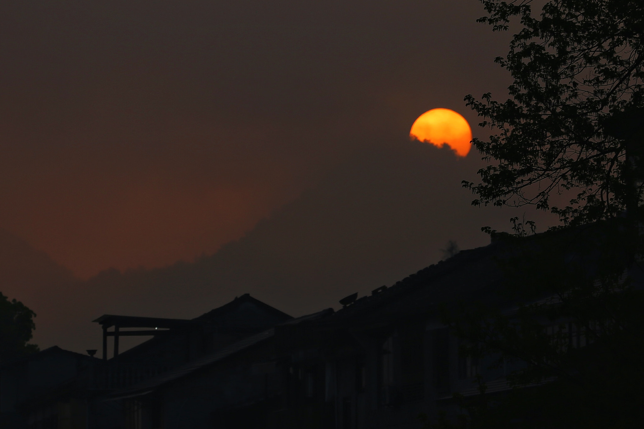 Canon EF 70-300mm F4-5.6L IS USM sample photo