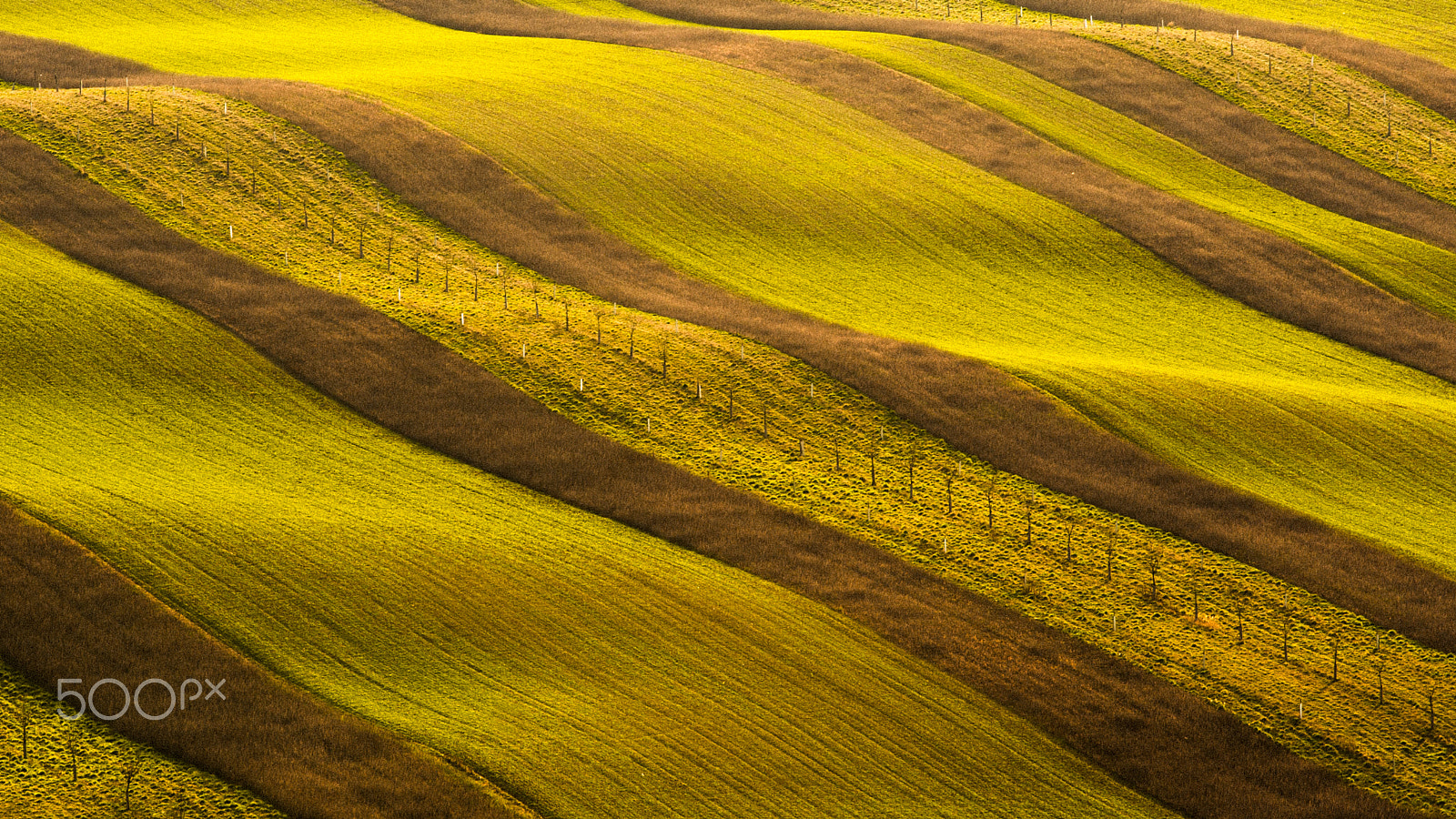AF-S Zoom-Nikkor 80-200mm f/2.8D IF-ED sample photo. Moravian waves photography