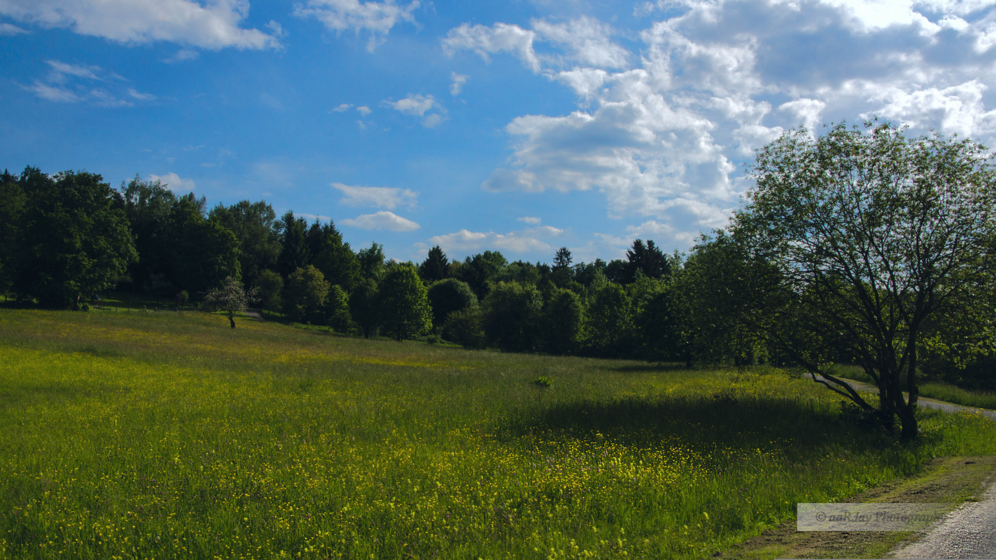 Sony SLT-A77 sample photo. 18227583485.jpg photography
